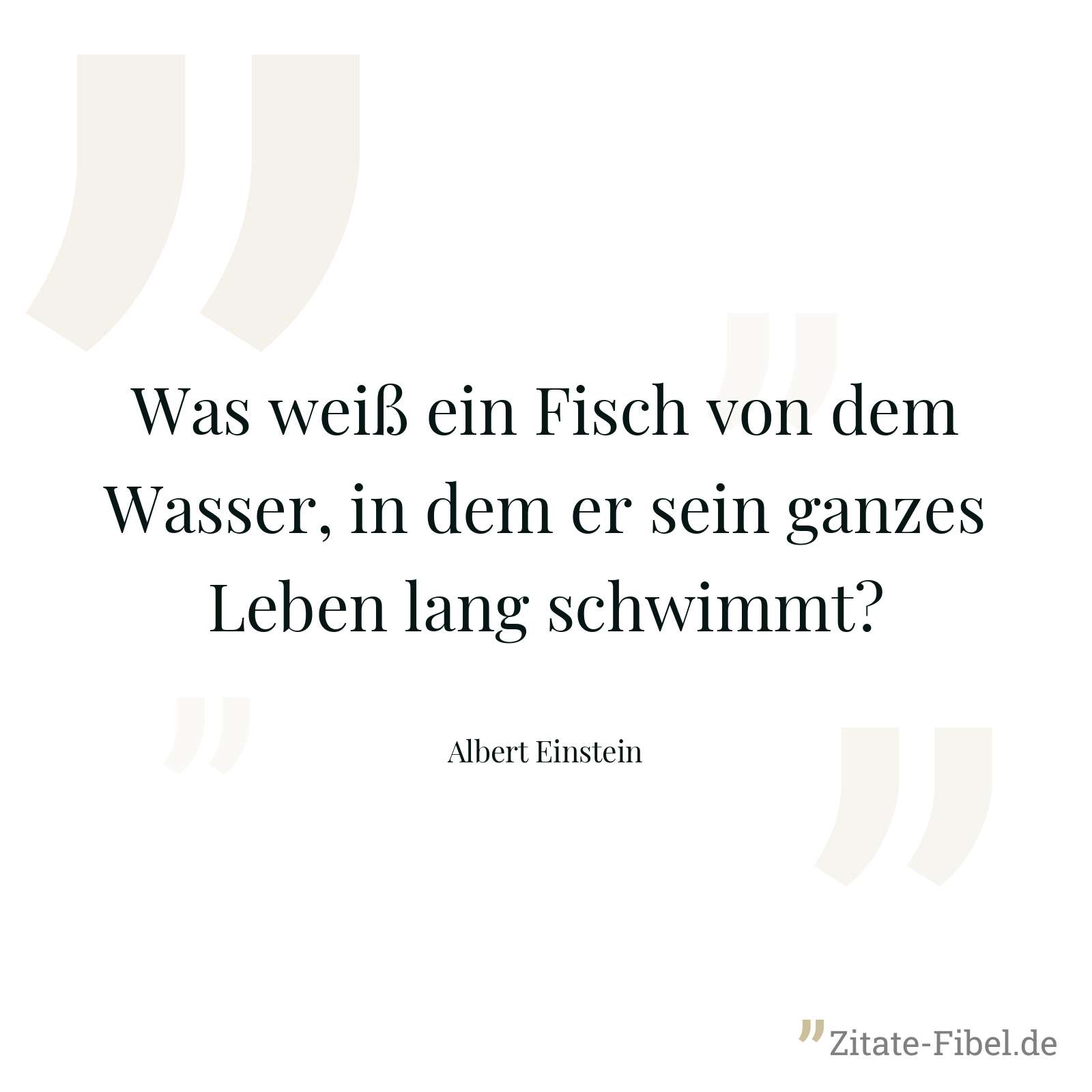 Was weiß ein Fisch von dem Wasser, in dem er sein ganzes Leben lang schwimmt? - Albert Einstein