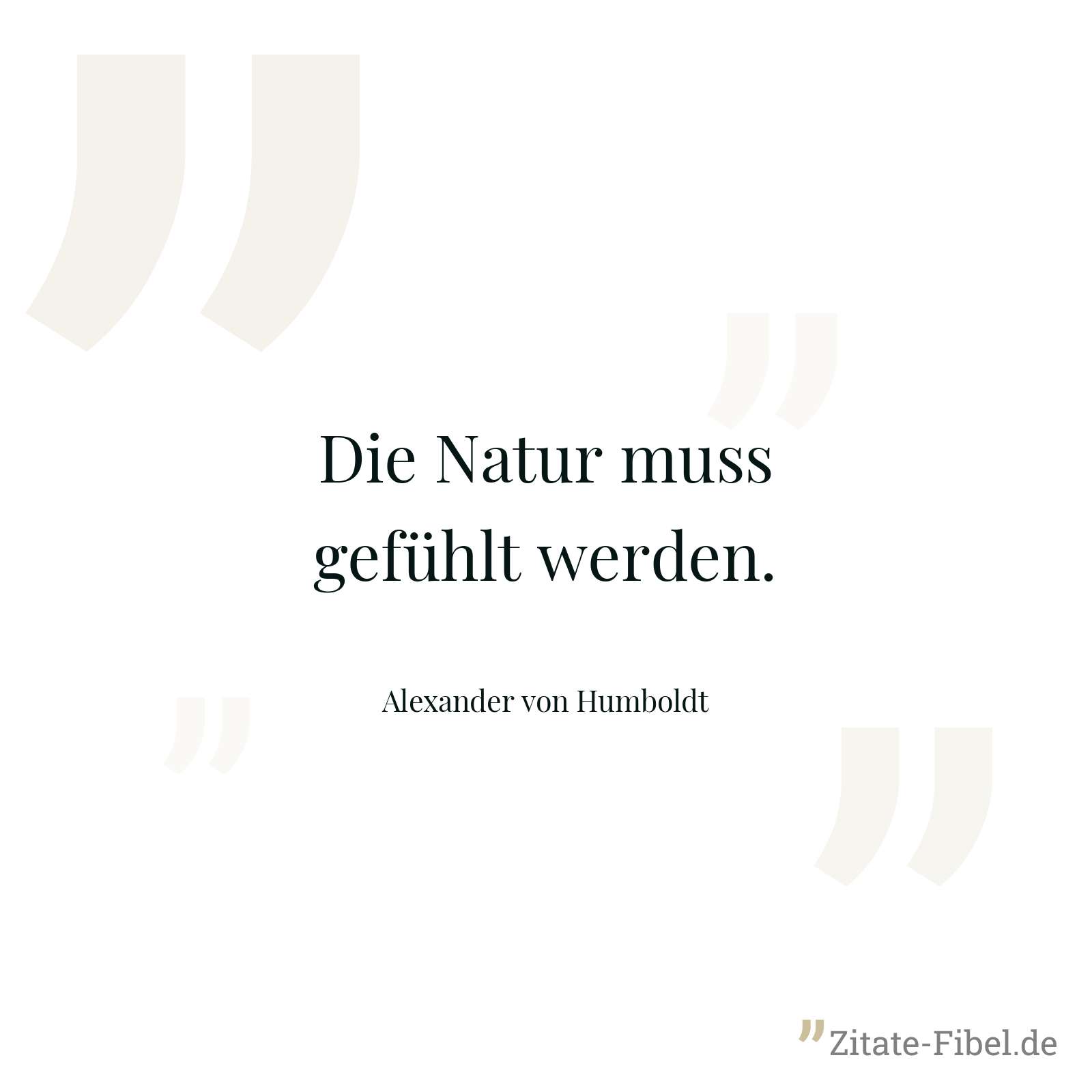 Die Natur muss gefühlt werden. - Alexander von Humboldt