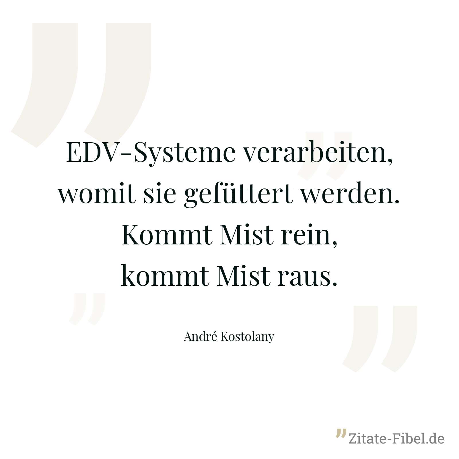 EDV-Systeme verarbeiten, womit sie gefüttert werden. Kommt Mist rein, kommt Mist raus. - André Kostolany