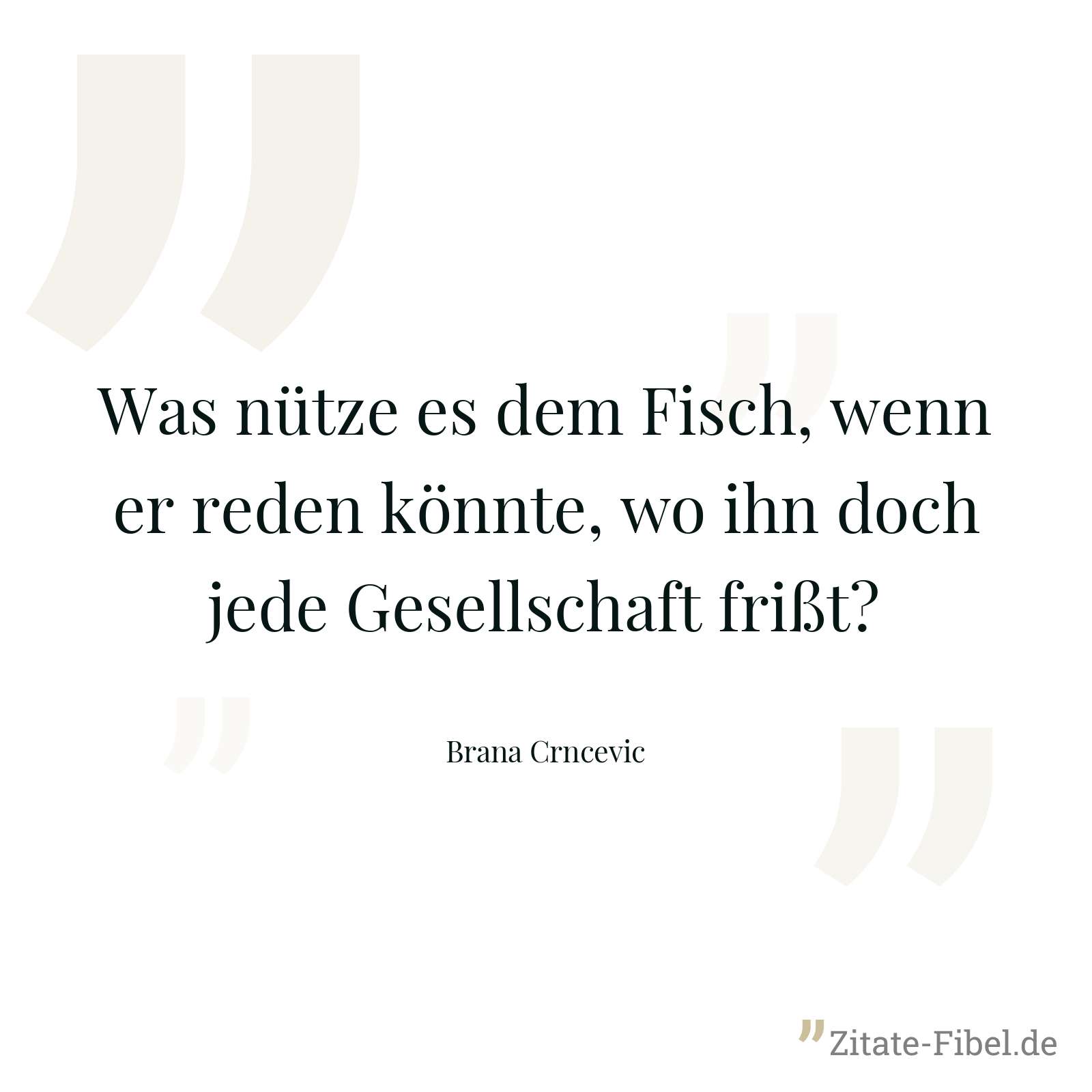 Was nütze es dem Fisch, wenn er reden könnte, wo ihn doch jede Gesellschaft frißt? - Brana Crncevic
