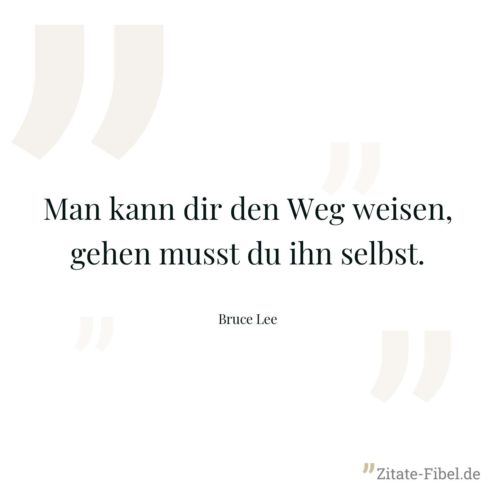 Man kann dir den Weg weisen, gehen musst du ihn selbst. - Bruce Lee