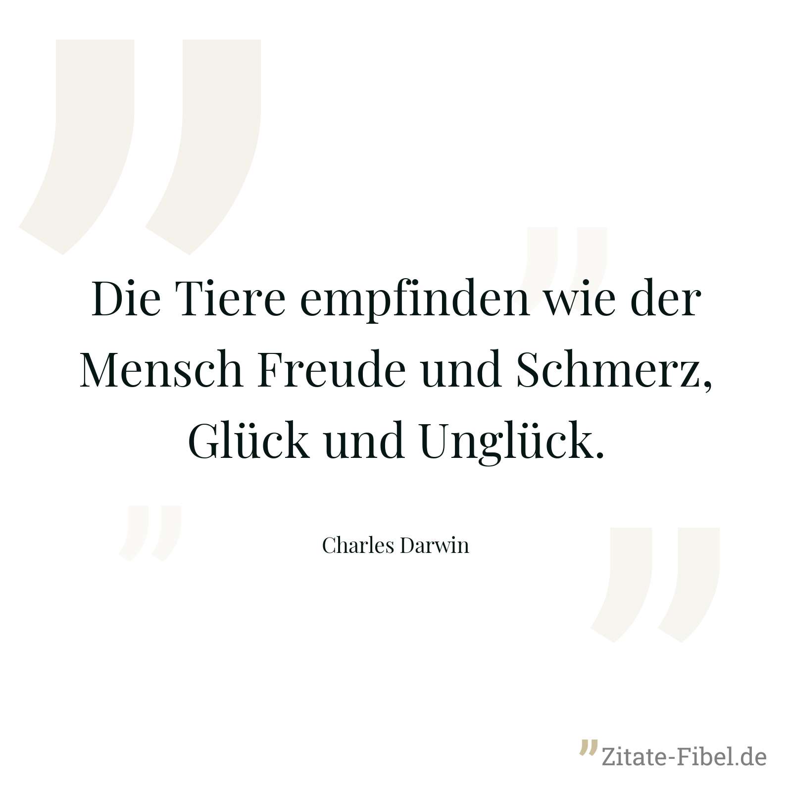 Die Tiere empfinden wie der Mensch Freude und Schmerz, Glück und Unglück. - Charles Darwin