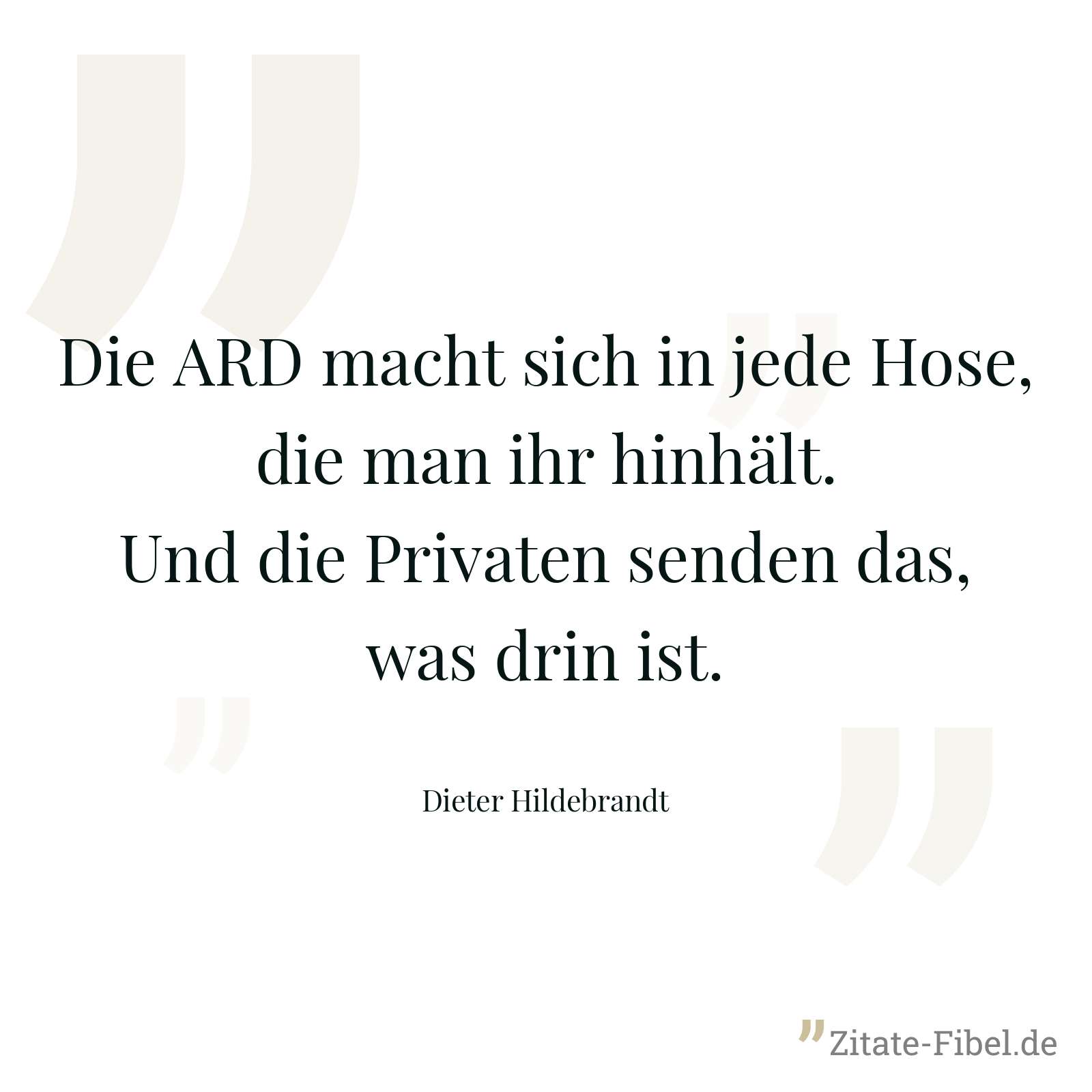 Die ARD macht sich in jede Hose, die man ihr hinhält. Und die Privaten senden das, was drin ist. - Dieter Hildebrandt