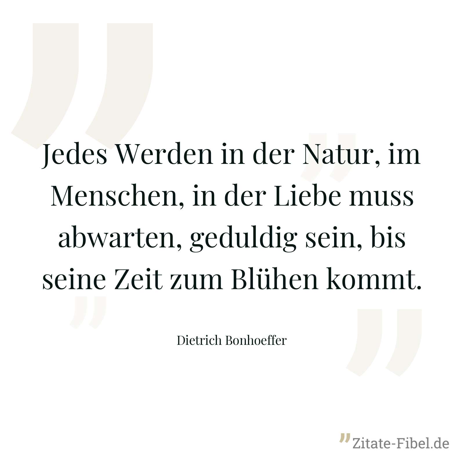 Jedes Werden in der Natur, im Menschen, in der Liebe muss abwarten, geduldig sein, bis seine Zeit zum Blühen kommt. - Dietrich Bonhoeffer