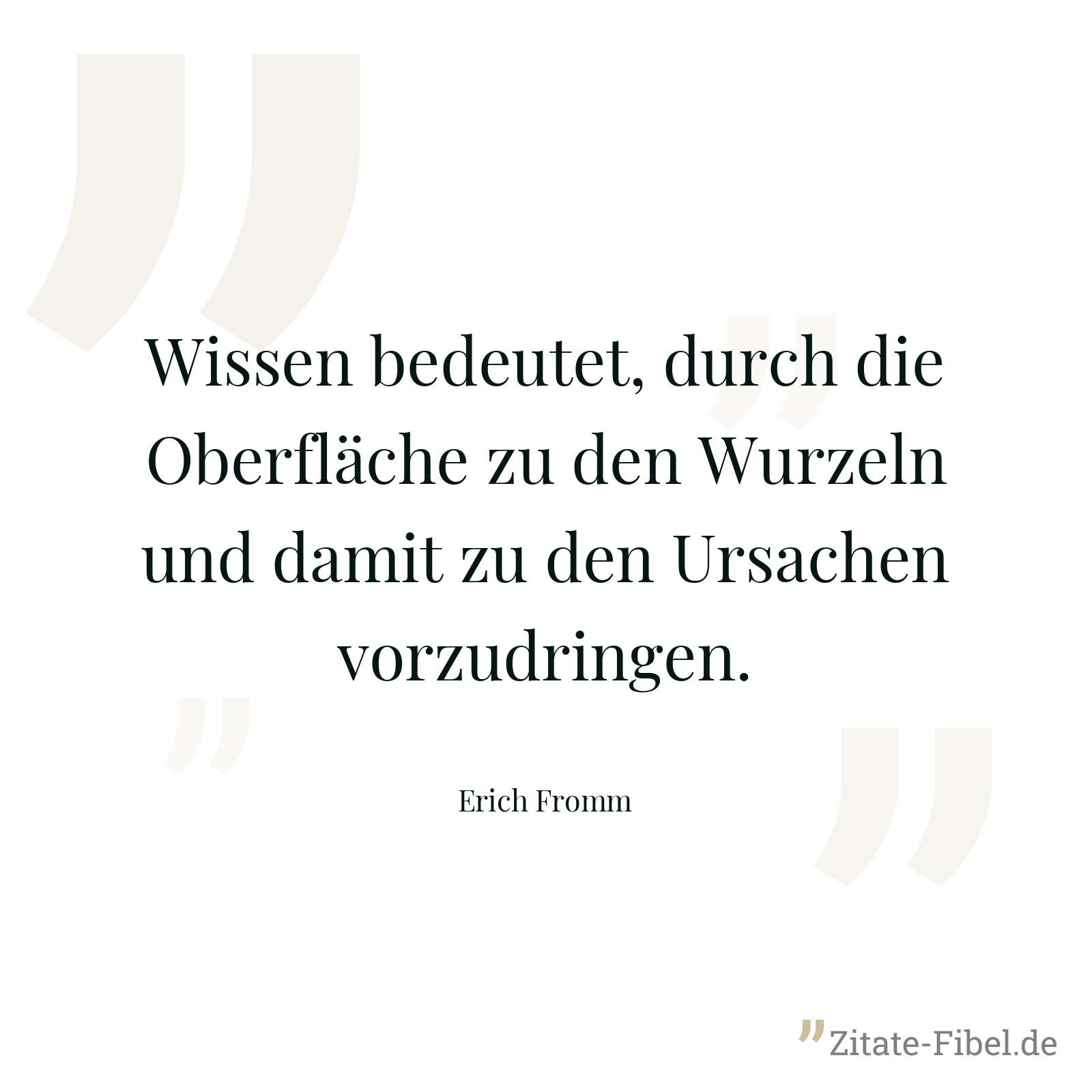 Wissen bedeutet, durch die Oberfläche zu den Wurzeln und damit zu den Ursachen vorzudringen. - Erich Fromm