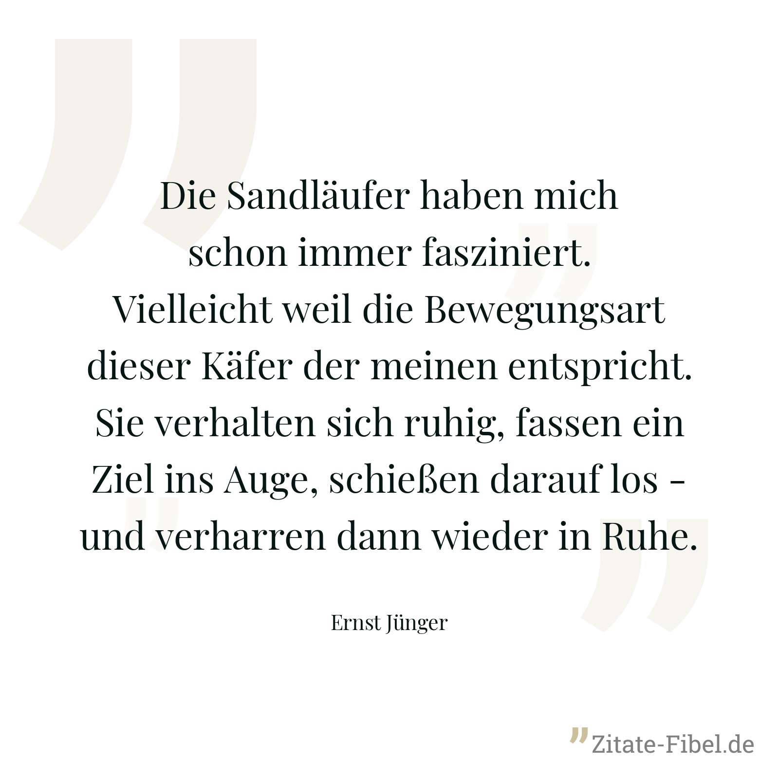 Die Sandläufer haben mich schon immer fasziniert. Vielleicht weil die Bewegungsart dieser Käfer der meinen entspricht. Sie verhalten sich ruhig, fassen ein Ziel ins Auge, schießen darauf los - und verharren dann wieder in Ruhe. - Ernst Jünger