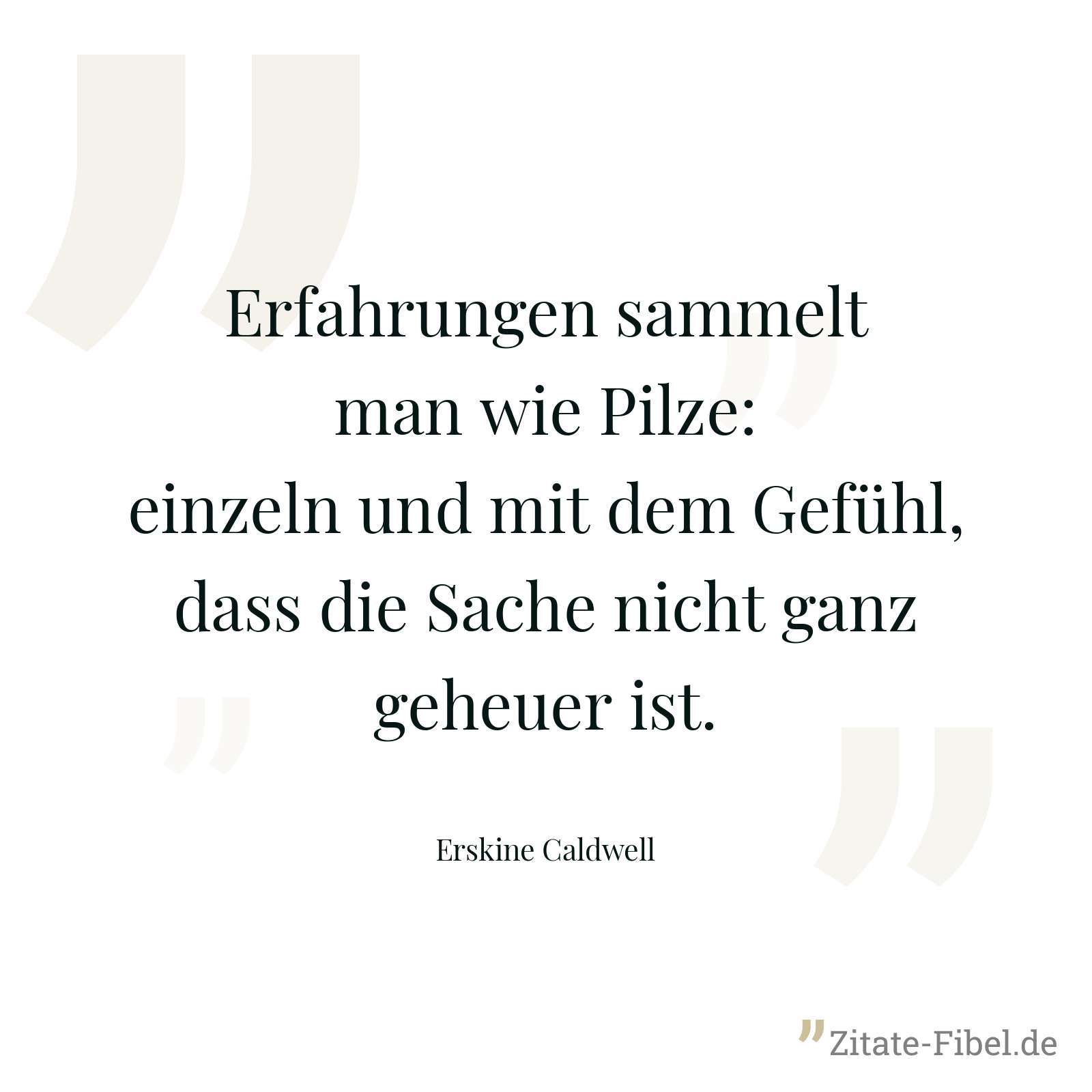 Erfahrungen sammelt man wie Pilze: einzeln und mit dem Gefühl, dass die Sache nicht ganz geheuer ist. - Erskine Caldwell