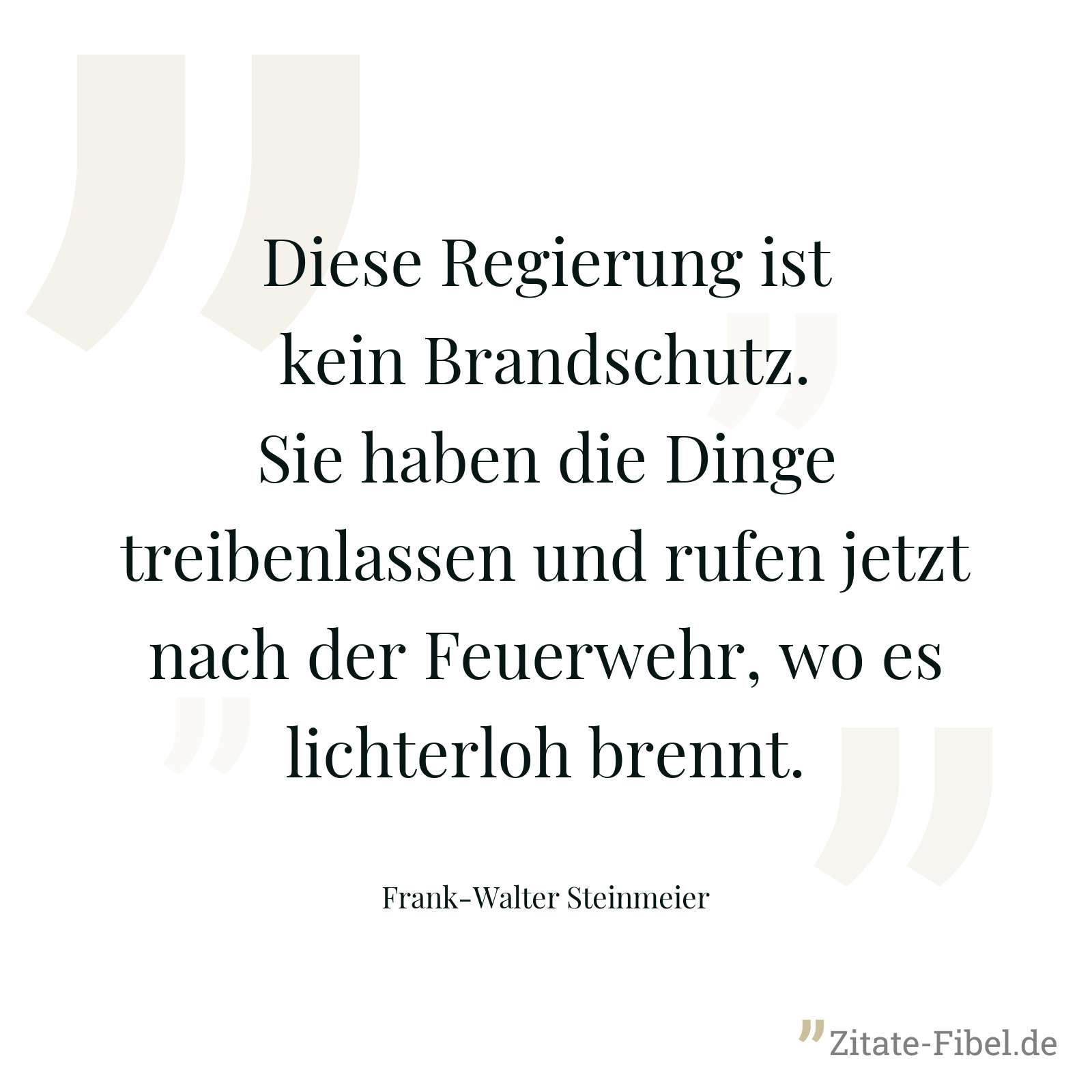 Diese Regierung ist kein Brandschutz. Sie haben die Dinge treibenlassen und rufen jetzt nach der Feuerwehr, wo es lichterloh brennt. - Frank-Walter Steinmeier