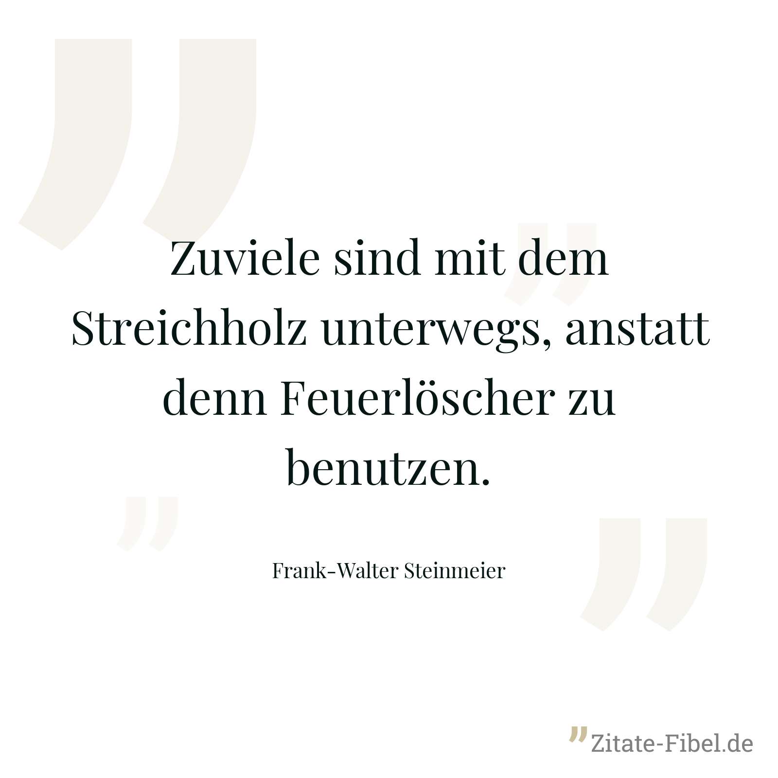 Zuviele sind mit dem Streichholz unterwegs, anstatt denn Feuerlöscher zu benutzen. - Frank-Walter Steinmeier