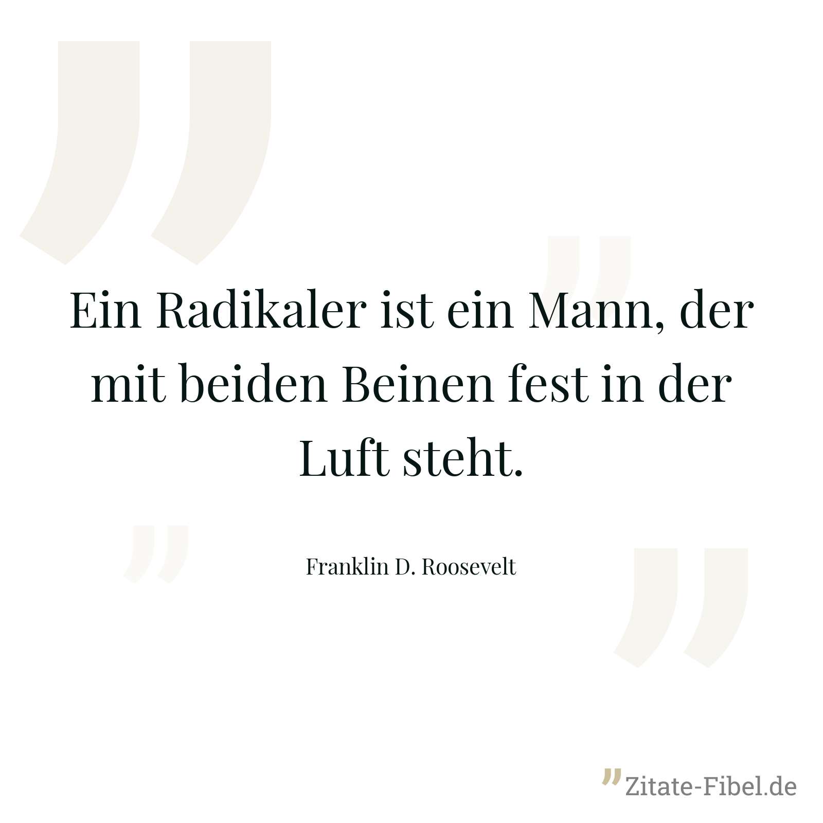 Ein Radikaler ist ein Mann, der mit beiden Beinen fest in der Luft steht. - Franklin D. Roosevelt