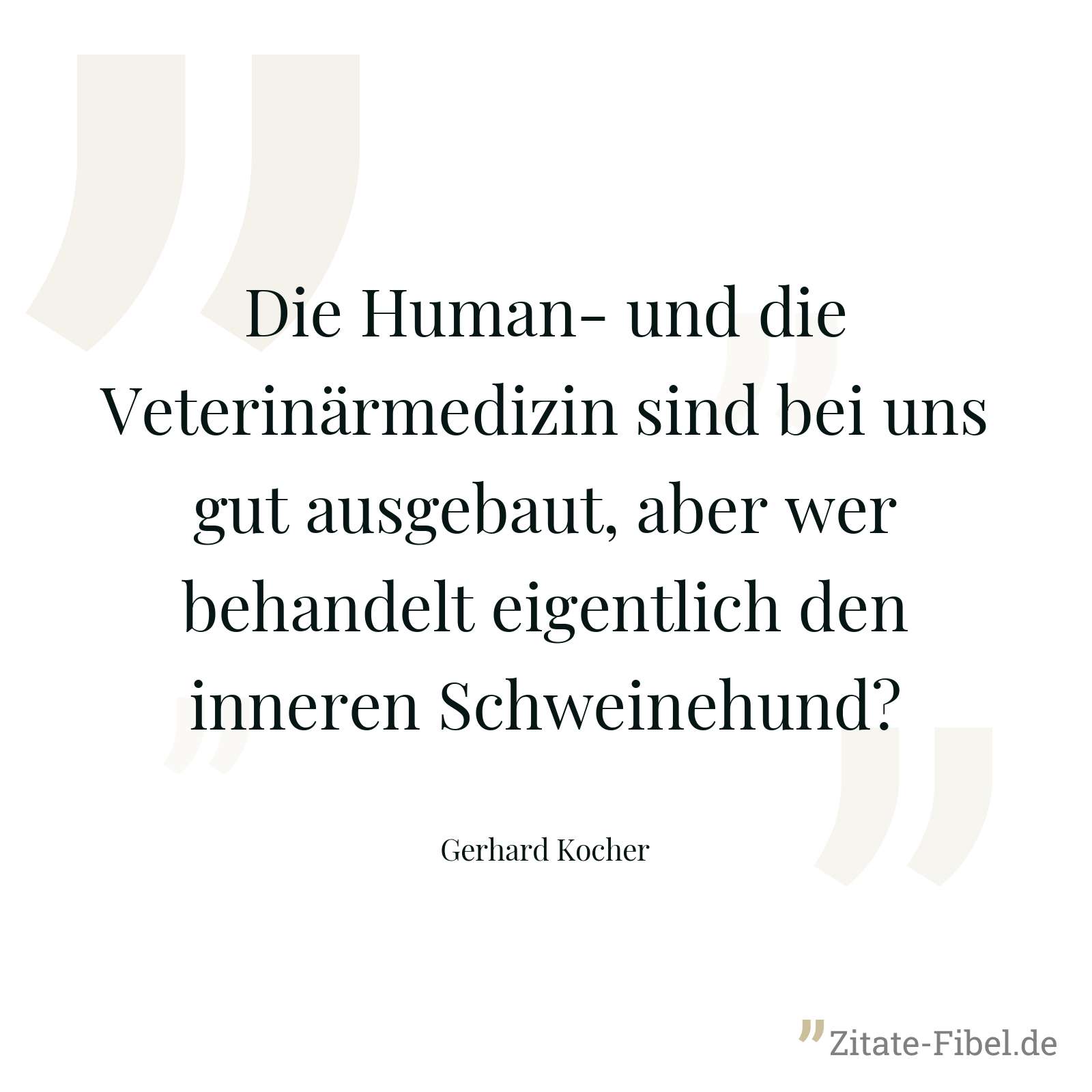 Die Human- und die Veterinärmedizin sind bei uns gut ausgebaut, aber wer behandelt eigentlich den inneren Schweinehund? - Gerhard Kocher