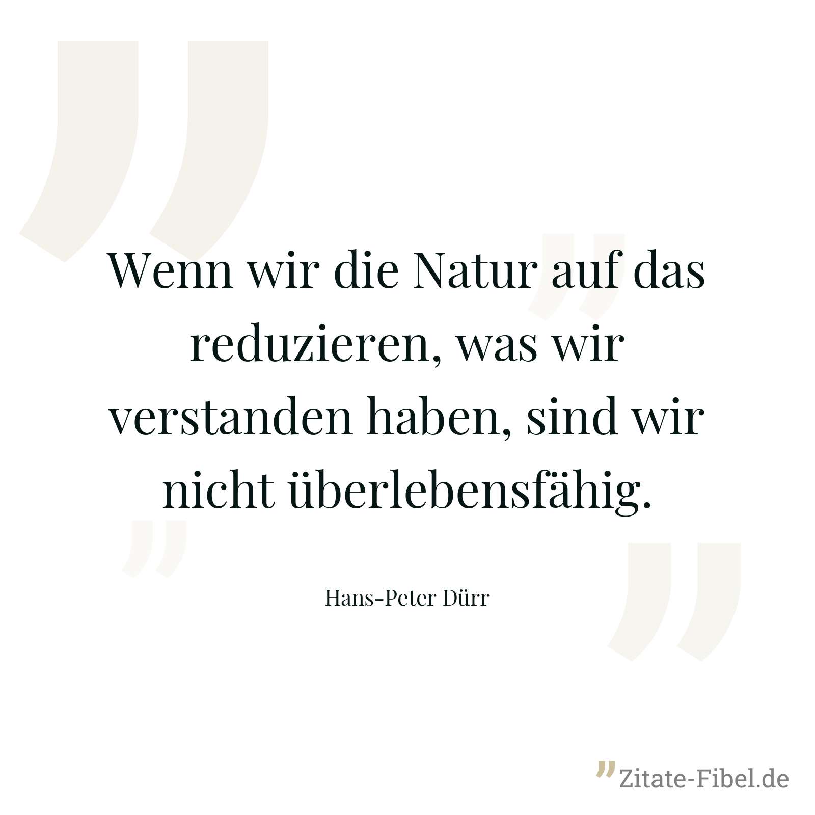 Wenn wir die Natur auf das reduzieren, was wir verstanden haben, sind wir nicht überlebensfähig. - Hans-Peter Dürr
