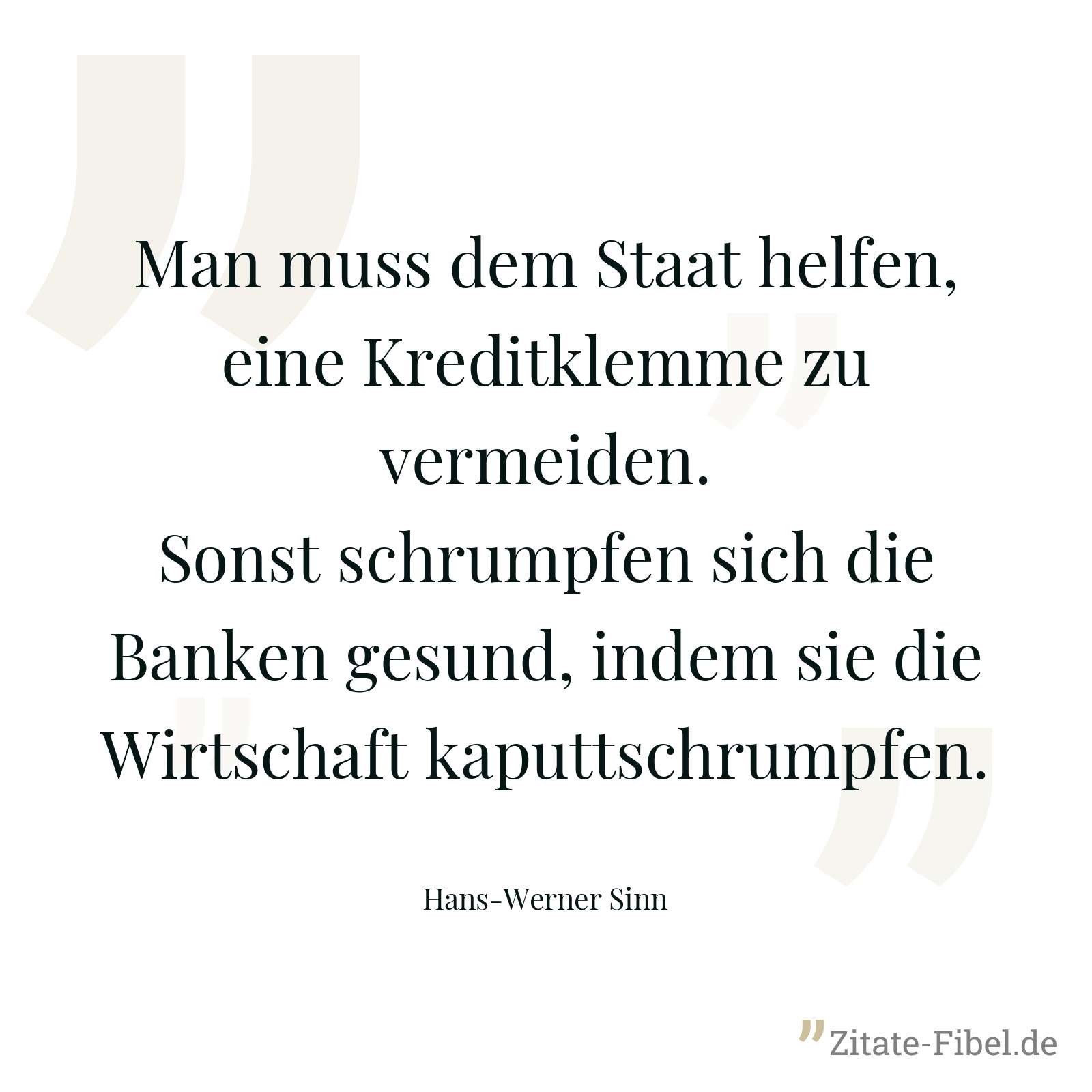 Man muss dem Staat helfen, eine Kreditklemme zu vermeiden. Sonst schrumpfen sich die Banken gesund, indem sie die Wirtschaft kaputtschrumpfen. - Hans-Werner Sinn