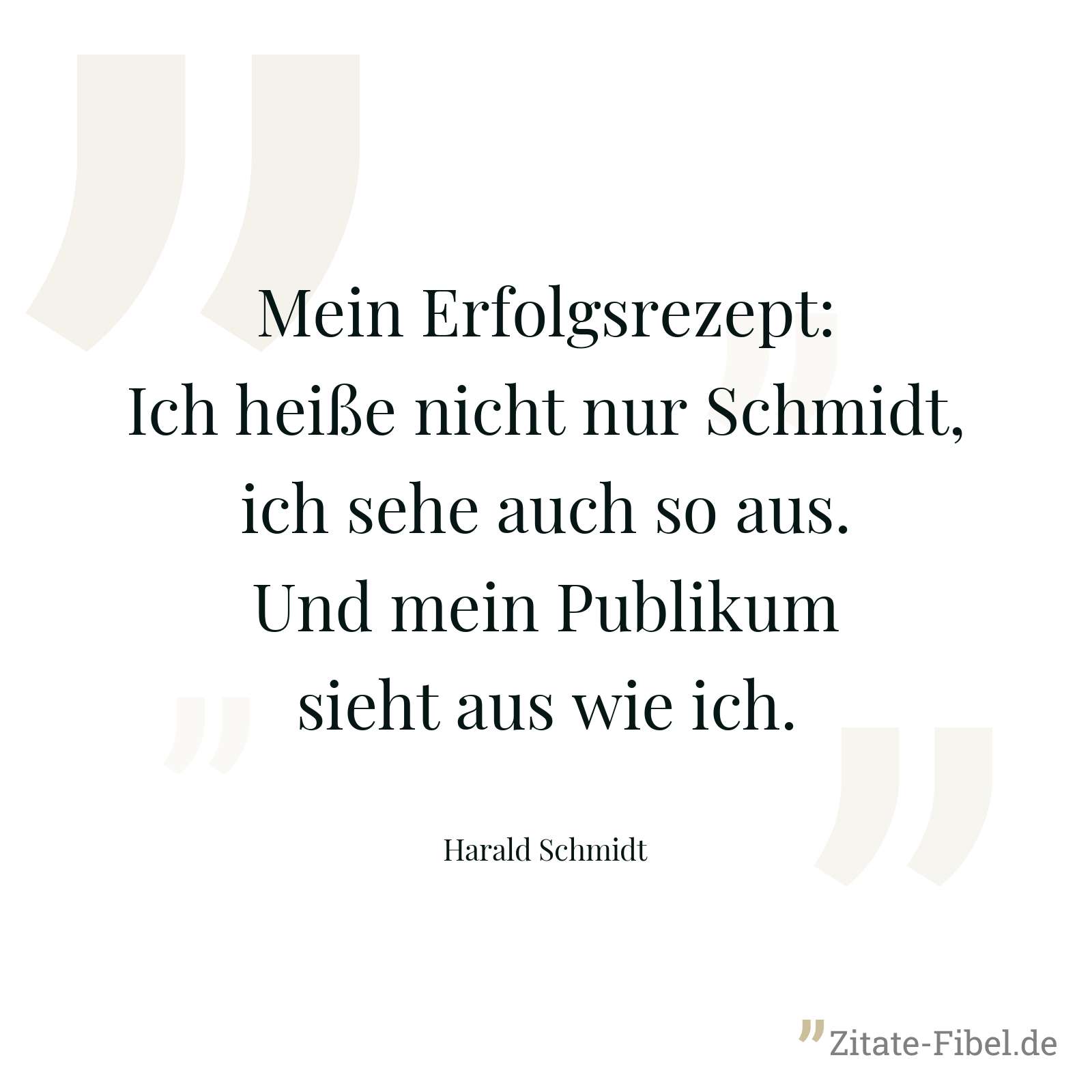 Mein Erfolgsrezept: Ich heiße nicht nur Schmidt, ich sehe auch so aus. Und mein Publikum sieht aus wie ich. - Harald Schmidt