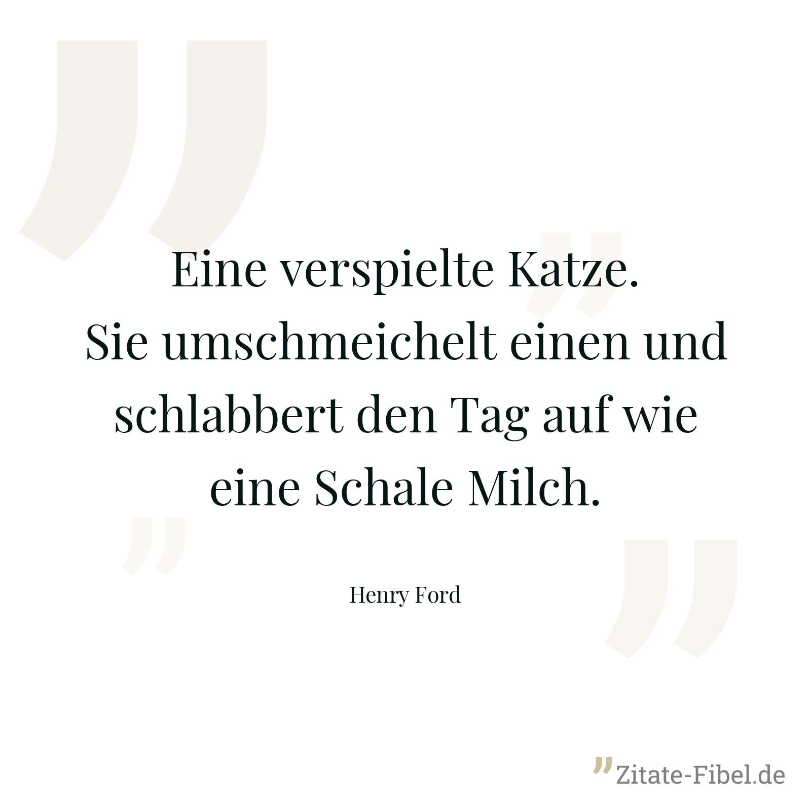 Eine verspielte Katze. Sie umschmeichelt einen und schlabbert den Tag auf wie eine Schale Milch. - Henry Ford