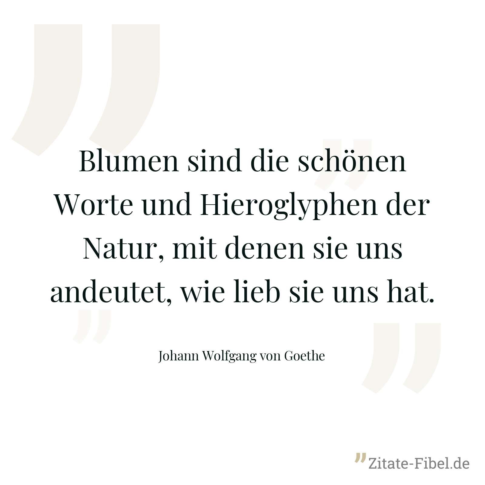 Blumen sind die schönen Worte und Hieroglyphen der Natur, mit denen sie uns andeutet, wie lieb sie uns hat. - Johann Wolfgang von Goethe