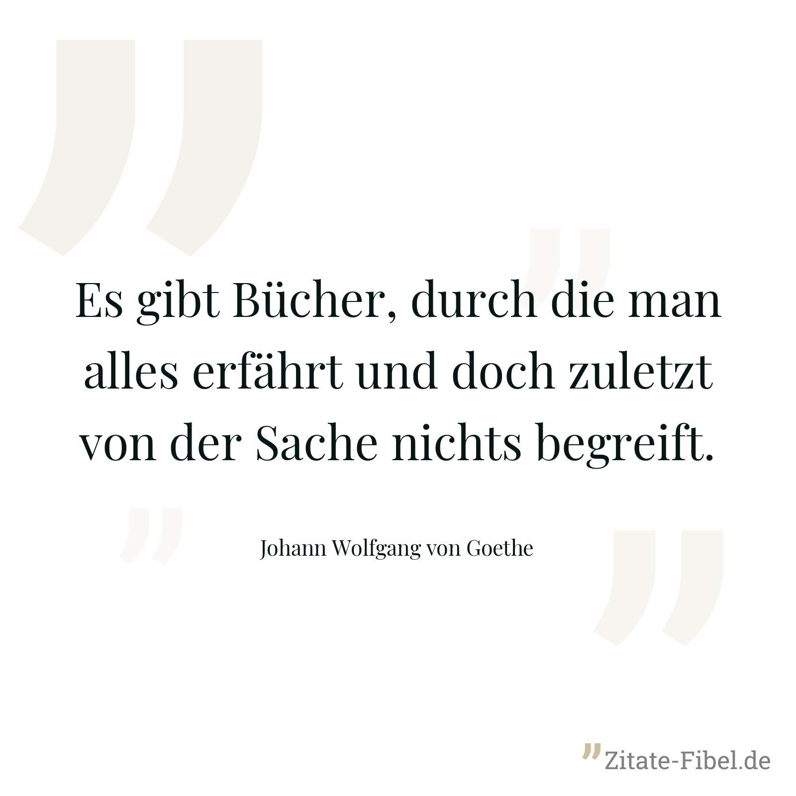 Es gibt Bücher, durch die man alles erfährt und doch zuletzt von der Sache nichts begreift. - Johann Wolfgang von Goethe