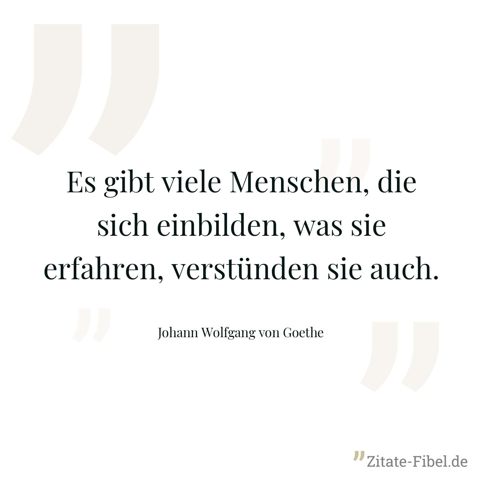 Es gibt viele Menschen, die sich einbilden, was sie erfahren, verstünden sie auch. - Johann Wolfgang von Goethe