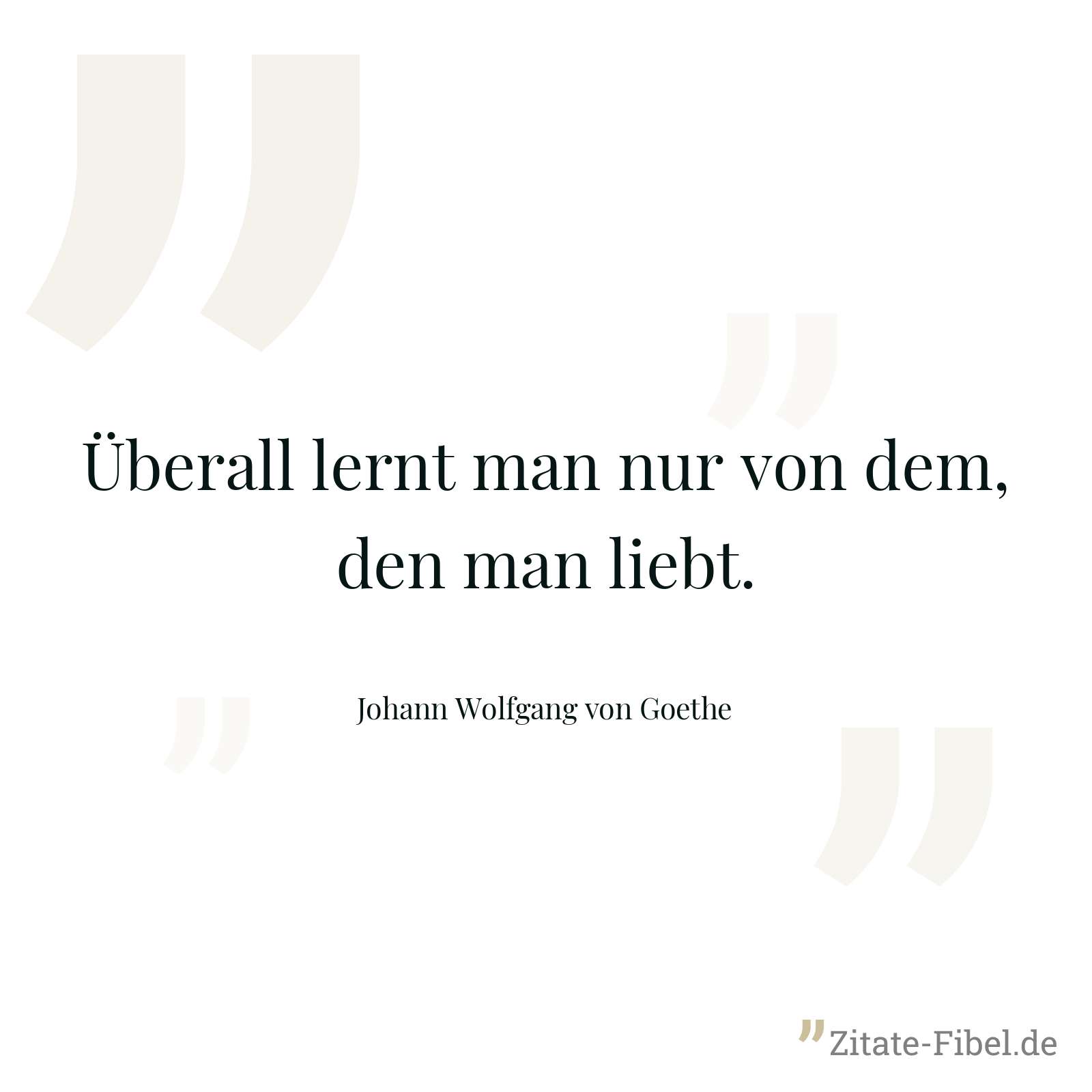 Überall lernt man nur von dem, den man liebt. - Johann Wolfgang von Goethe