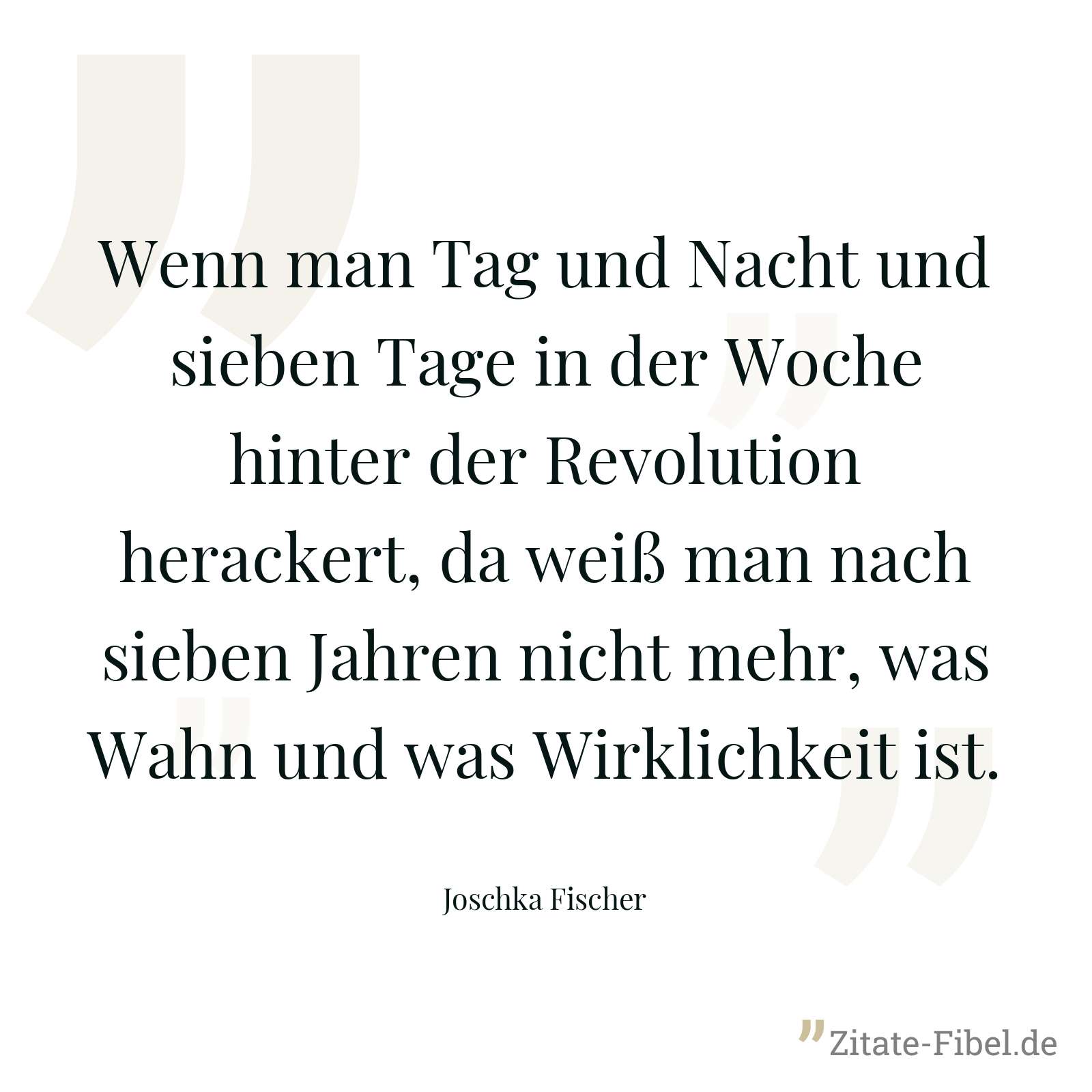 Wenn man Tag und Nacht und sieben Tage in der Woche hinter der Revolution herackert, da weiß man nach sieben Jahren nicht mehr, was Wahn und was Wirklichkeit ist. - Joschka Fischer