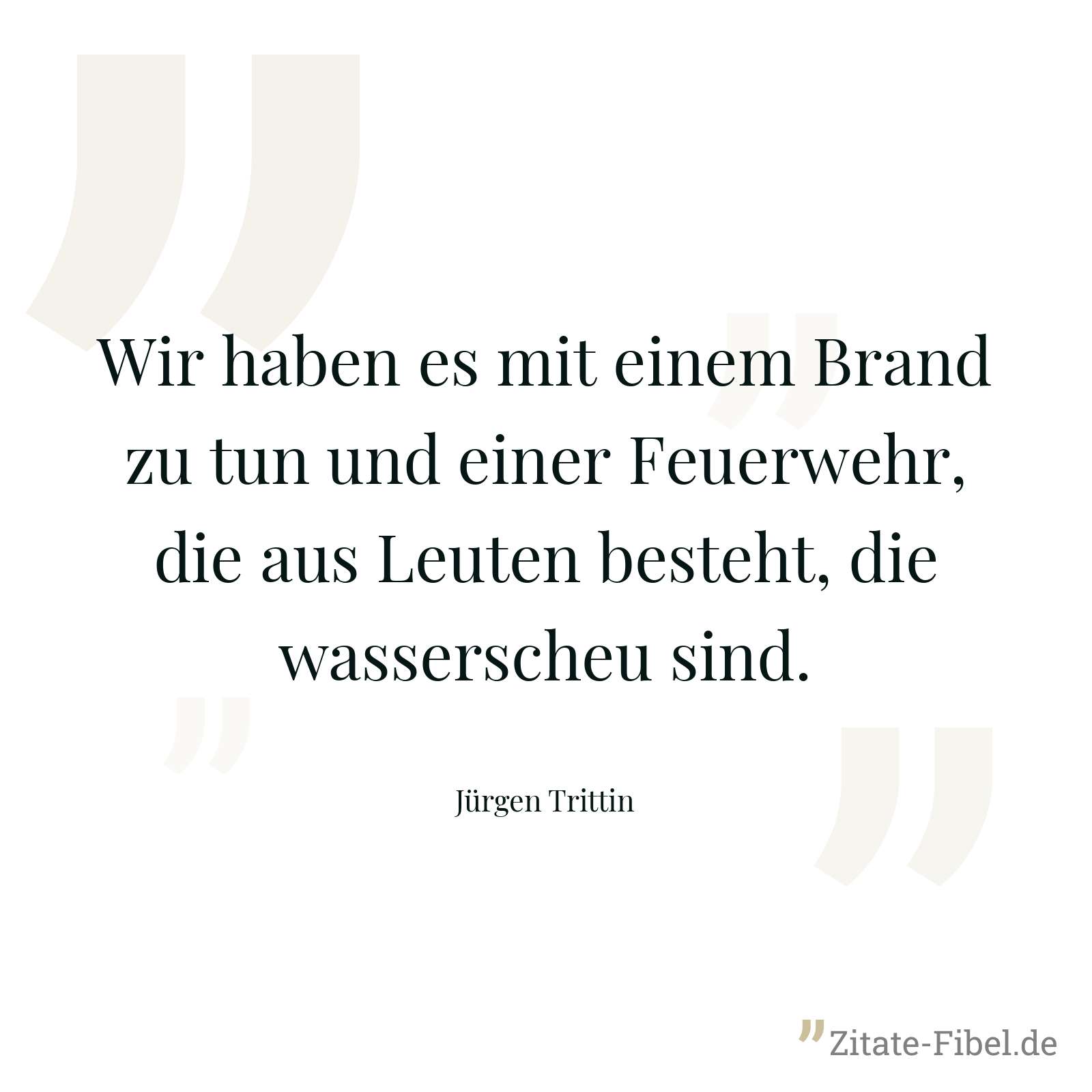 Wir haben es mit einem Brand zu tun und einer Feuerwehr, die aus Leuten besteht, die wasserscheu sind. - Jürgen Trittin