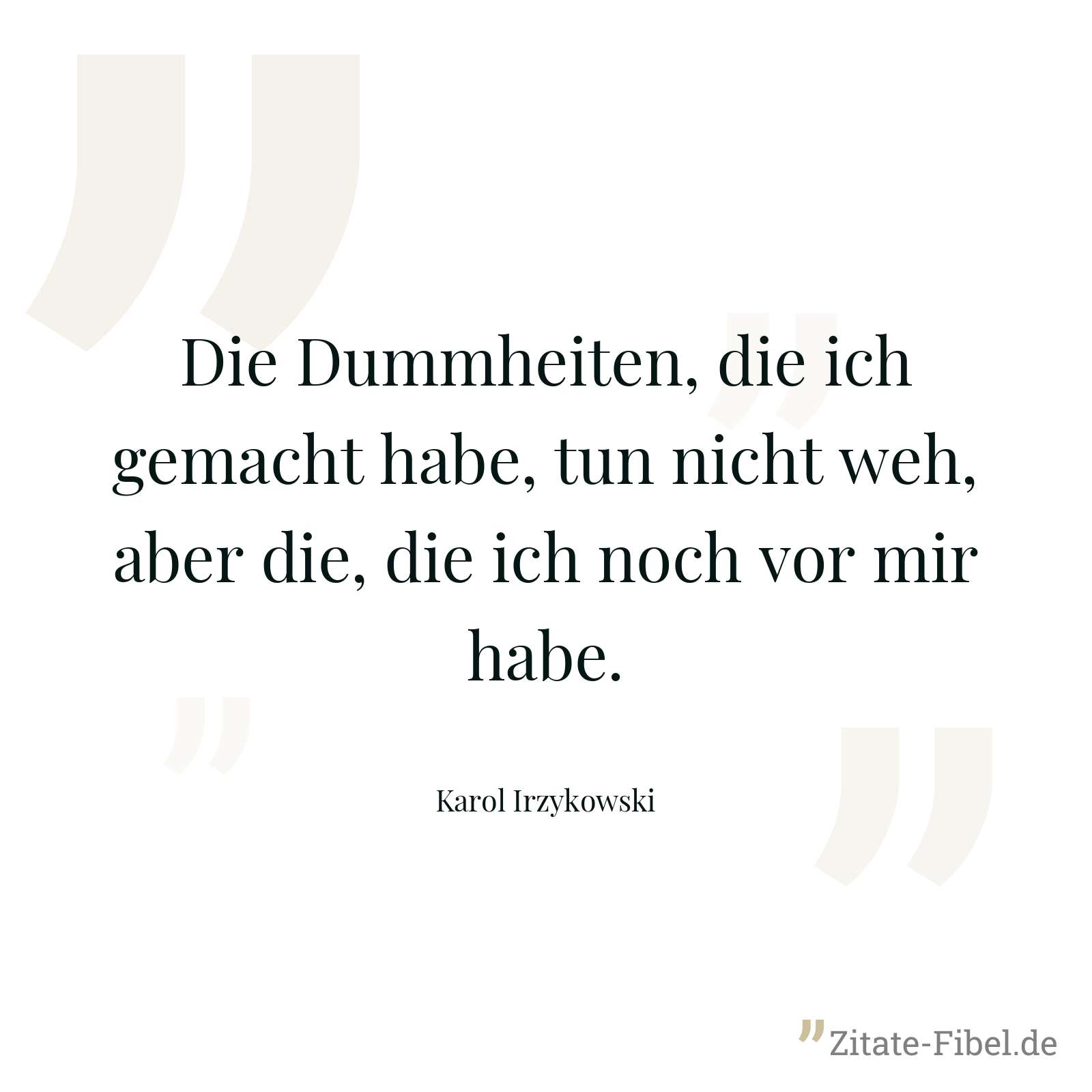 Die Dummheiten, die ich gemacht habe, tun nicht weh, aber die, die ich noch vor mir habe. - Karol Irzykowski