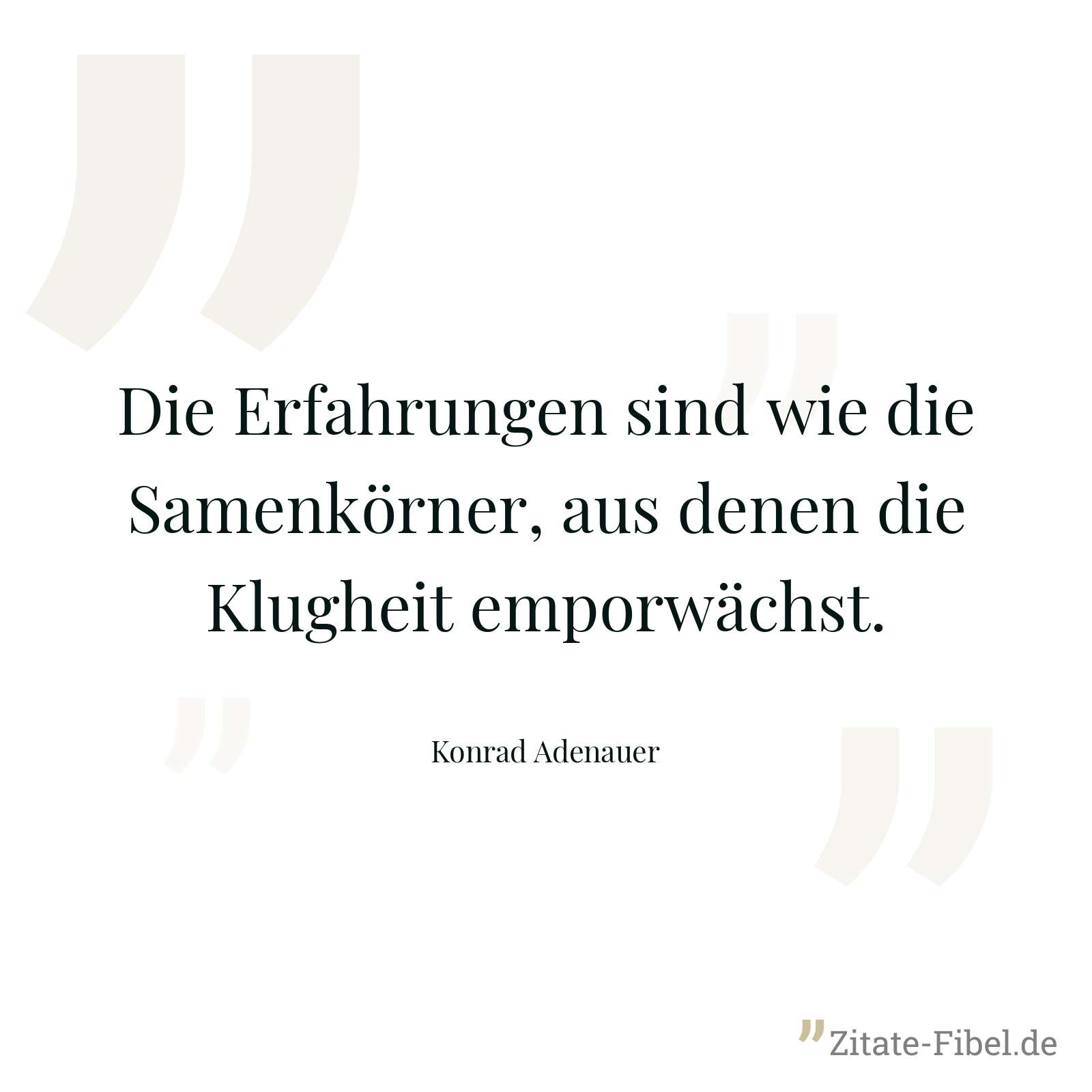 Die Erfahrungen sind wie die Samenkörner, aus denen die Klugheit emporwächst. - Konrad Adenauer