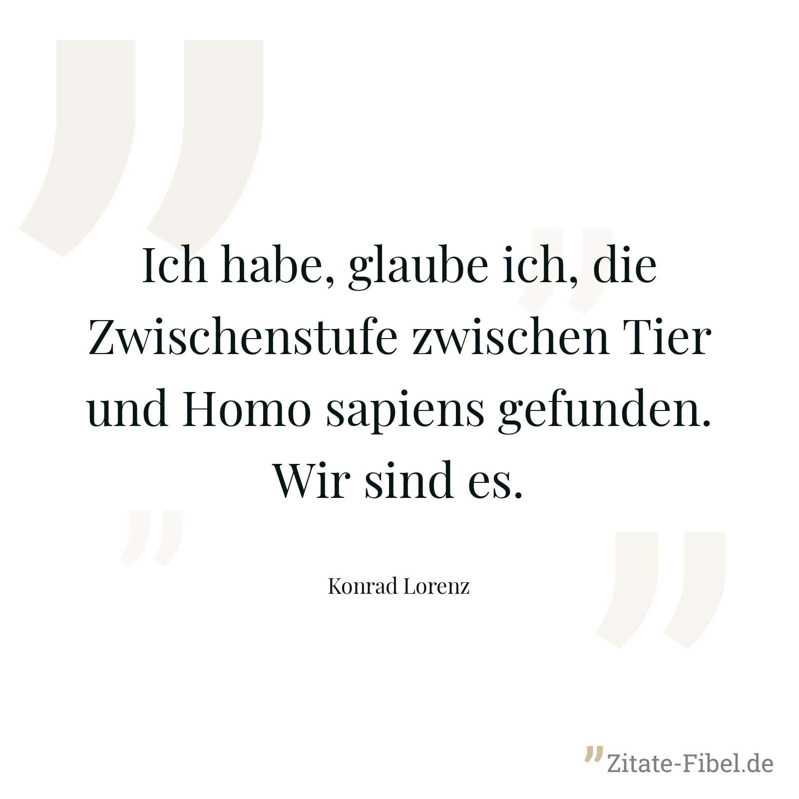 Ich habe, glaube ich, die Zwischenstufe zwischen Tier und Homo sapiens gefunden. Wir sind es. - Konrad Lorenz