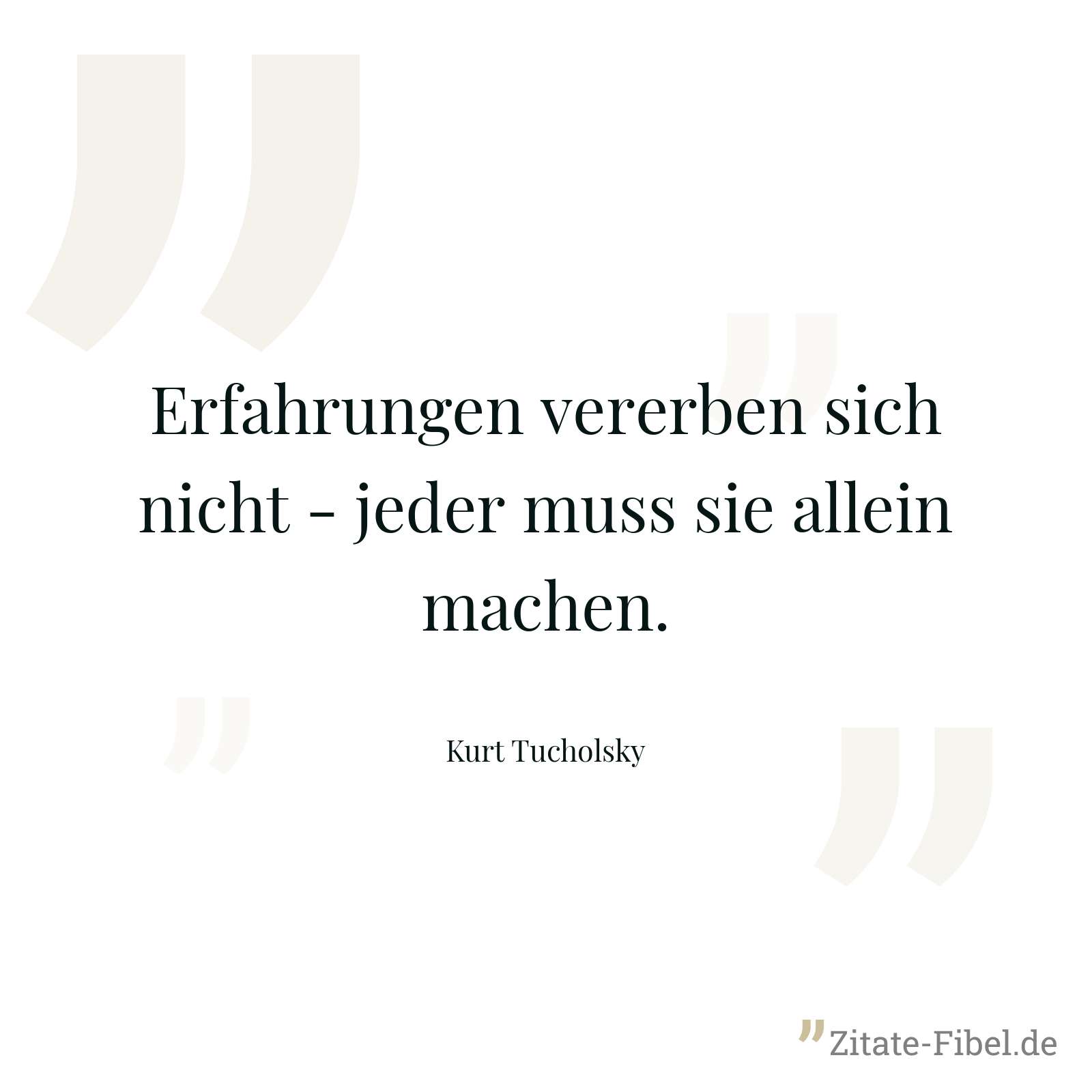 Erfahrungen vererben sich nicht - jeder muss sie allein machen. - Kurt Tucholsky