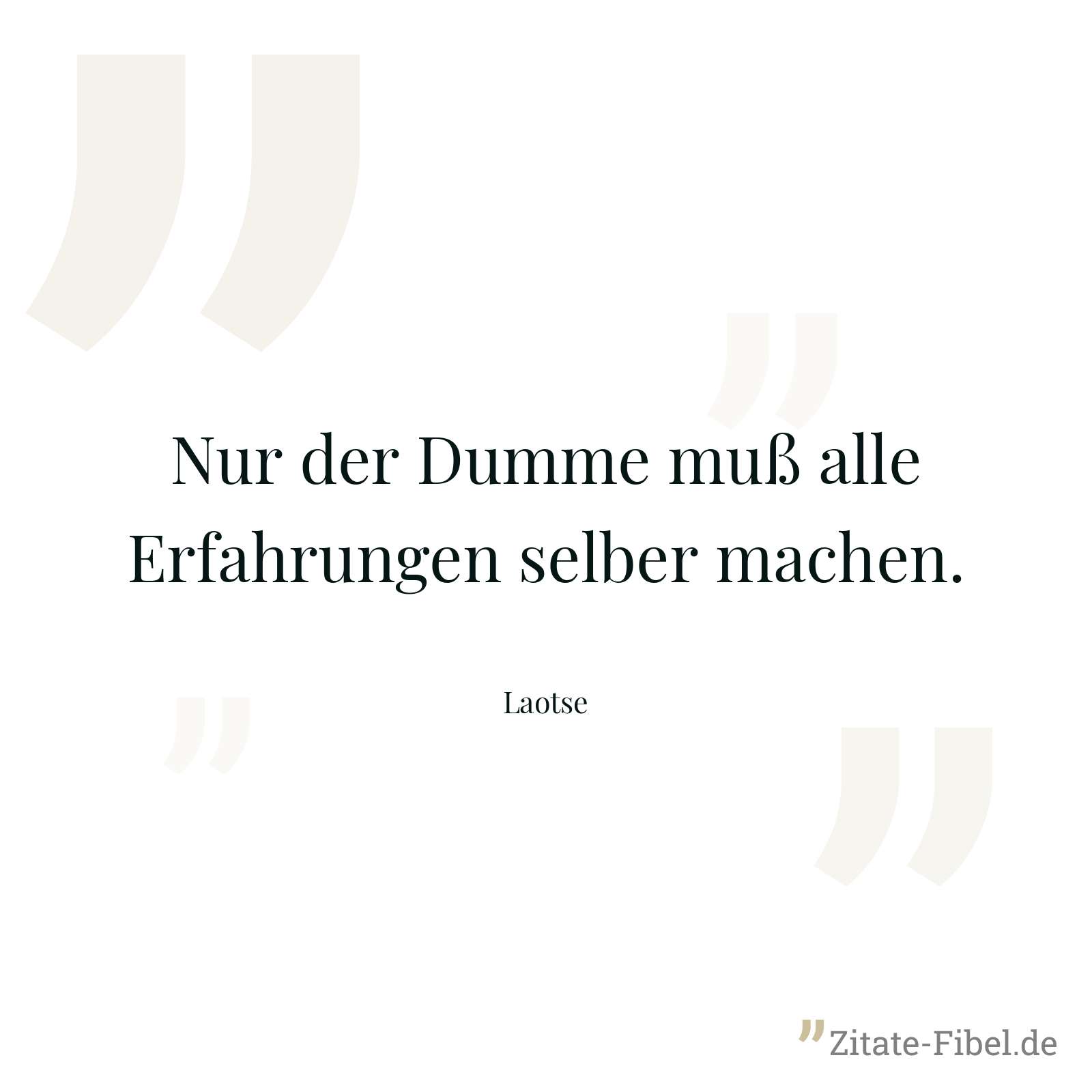 Nur der Dumme muß alle Erfahrungen selber machen. - Laotse