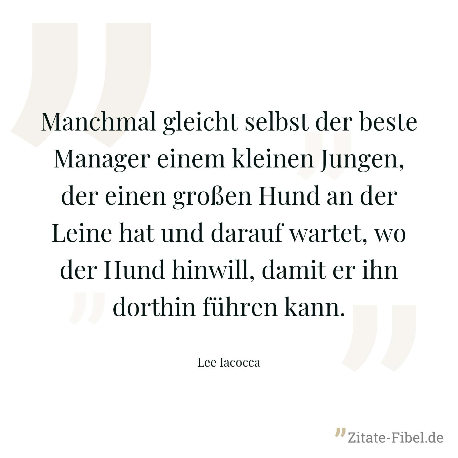 Manchmal gleicht selbst der beste Manager einem kleinen Jungen, der einen großen Hund an der Leine hat und darauf wartet, wo der Hund hinwill, damit er ihn dorthin führen kann. - Lee Iacocca