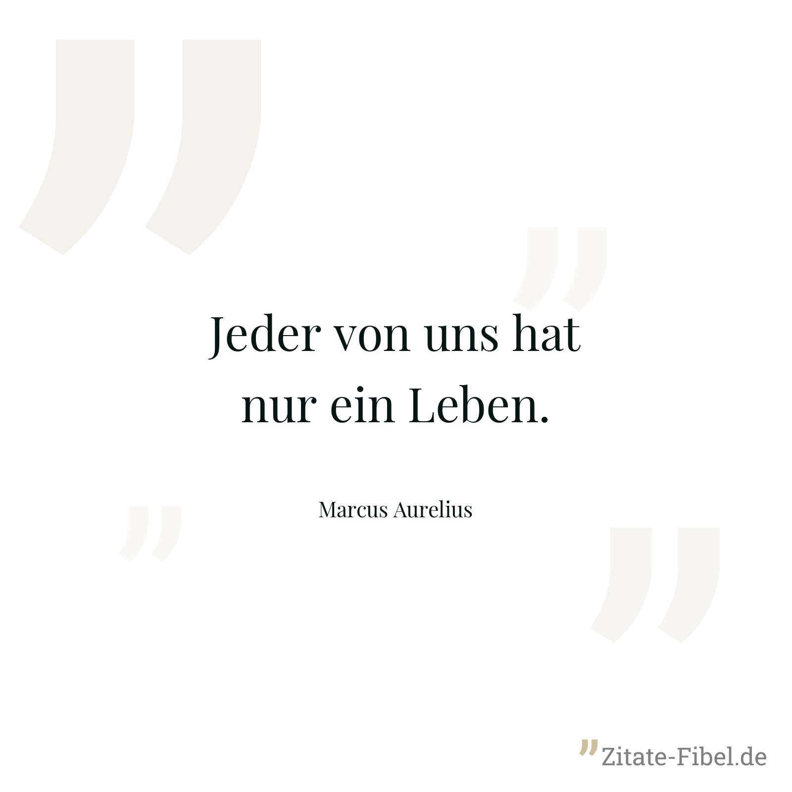 Jeder von uns hat nur ein Leben. - Marcus Aurelius