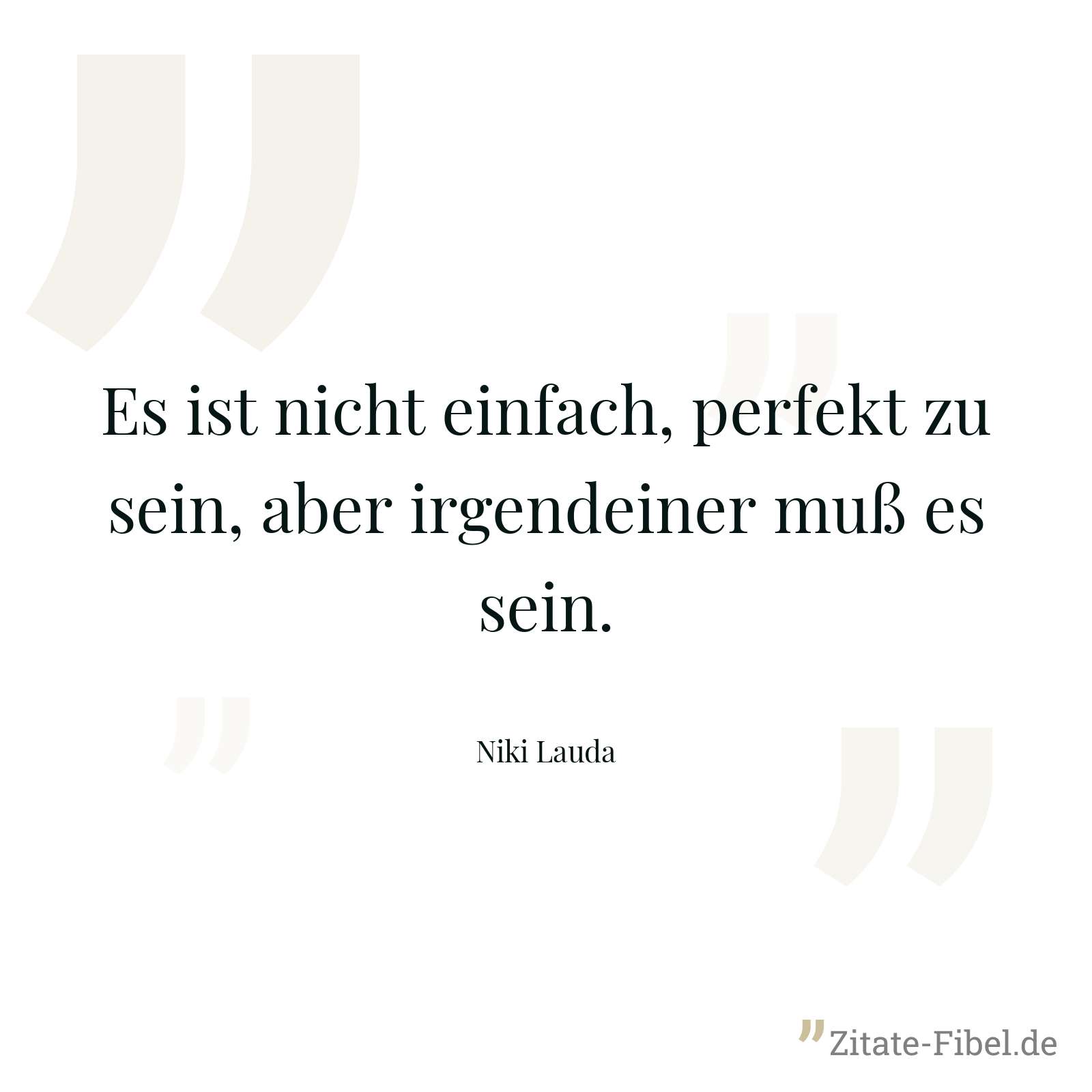 Es ist nicht einfach, perfekt zu sein, aber irgendeiner muß es sein. - Niki Lauda