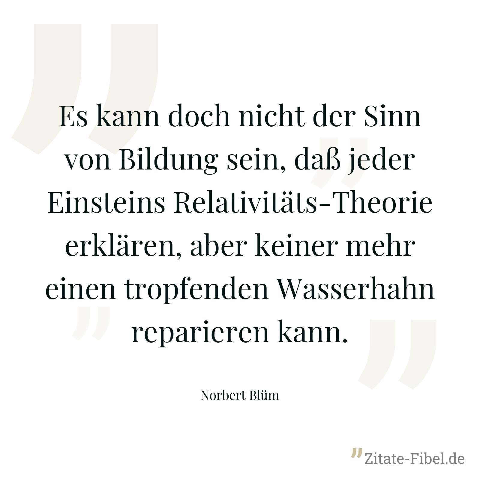 Es kann doch nicht der Sinn von Bildung sein, daß jeder Einsteins Relativitäts-Theorie erklären, aber keiner mehr einen tropfenden Wasserhahn reparieren kann. - Norbert Blüm