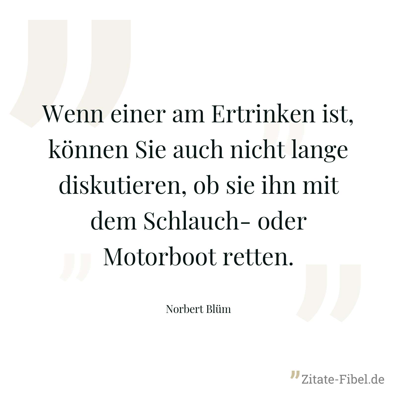 Wenn einer am Ertrinken ist, können Sie auch nicht lange diskutieren, ob sie ihn mit dem Schlauch- oder Motorboot retten. - Norbert Blüm