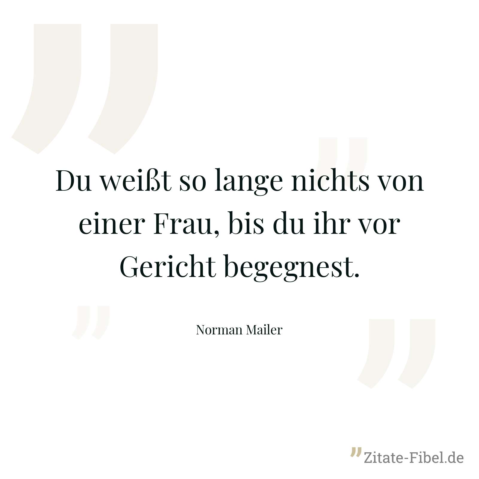 Du weißt so lange nichts von einer Frau, bis du ihr vor Gericht begegnest. - Norman Mailer
