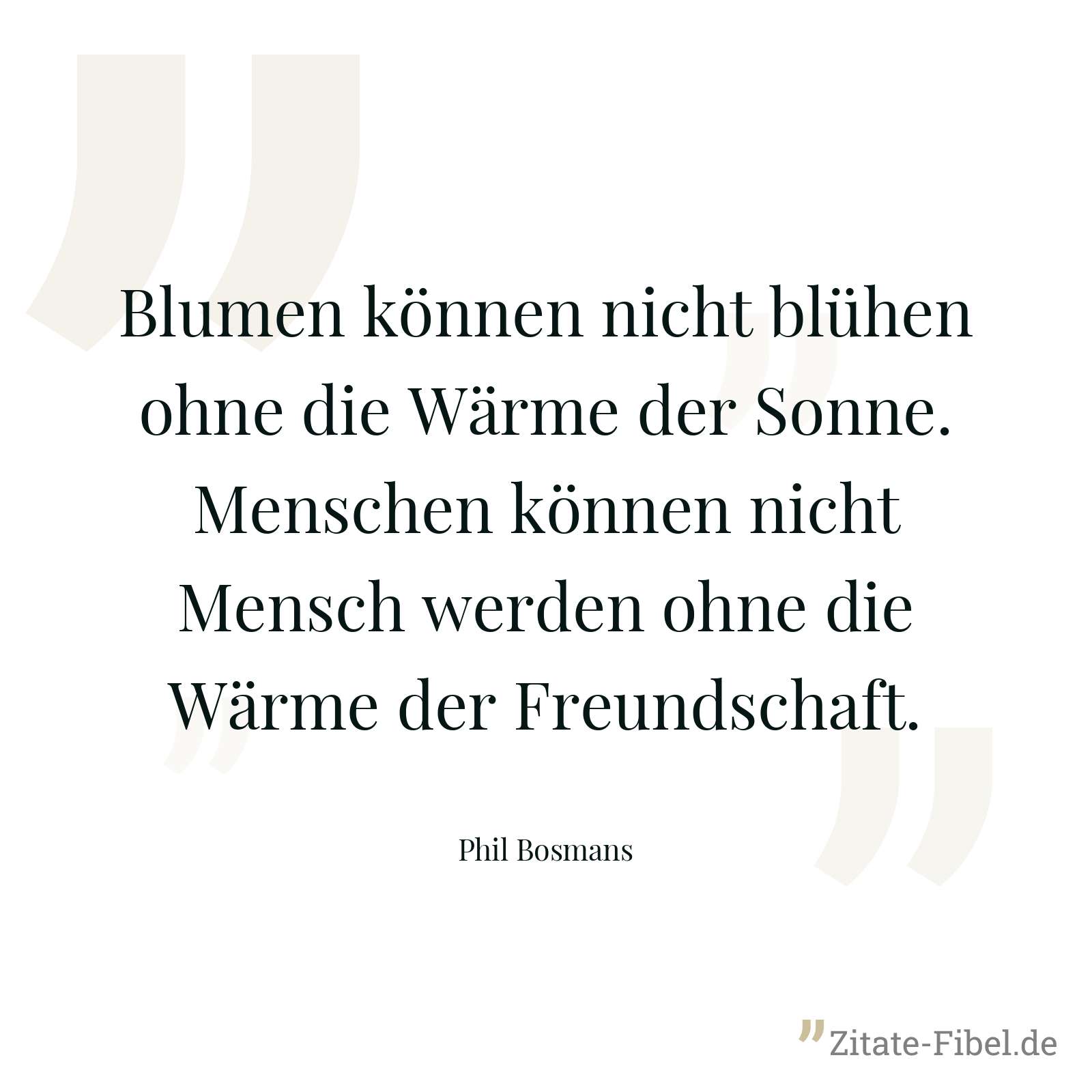 Blumen können nicht blühen ohne die Wärme der Sonne. Menschen können nicht Mensch werden ohne die Wärme der Freundschaft. - Phil Bosmans