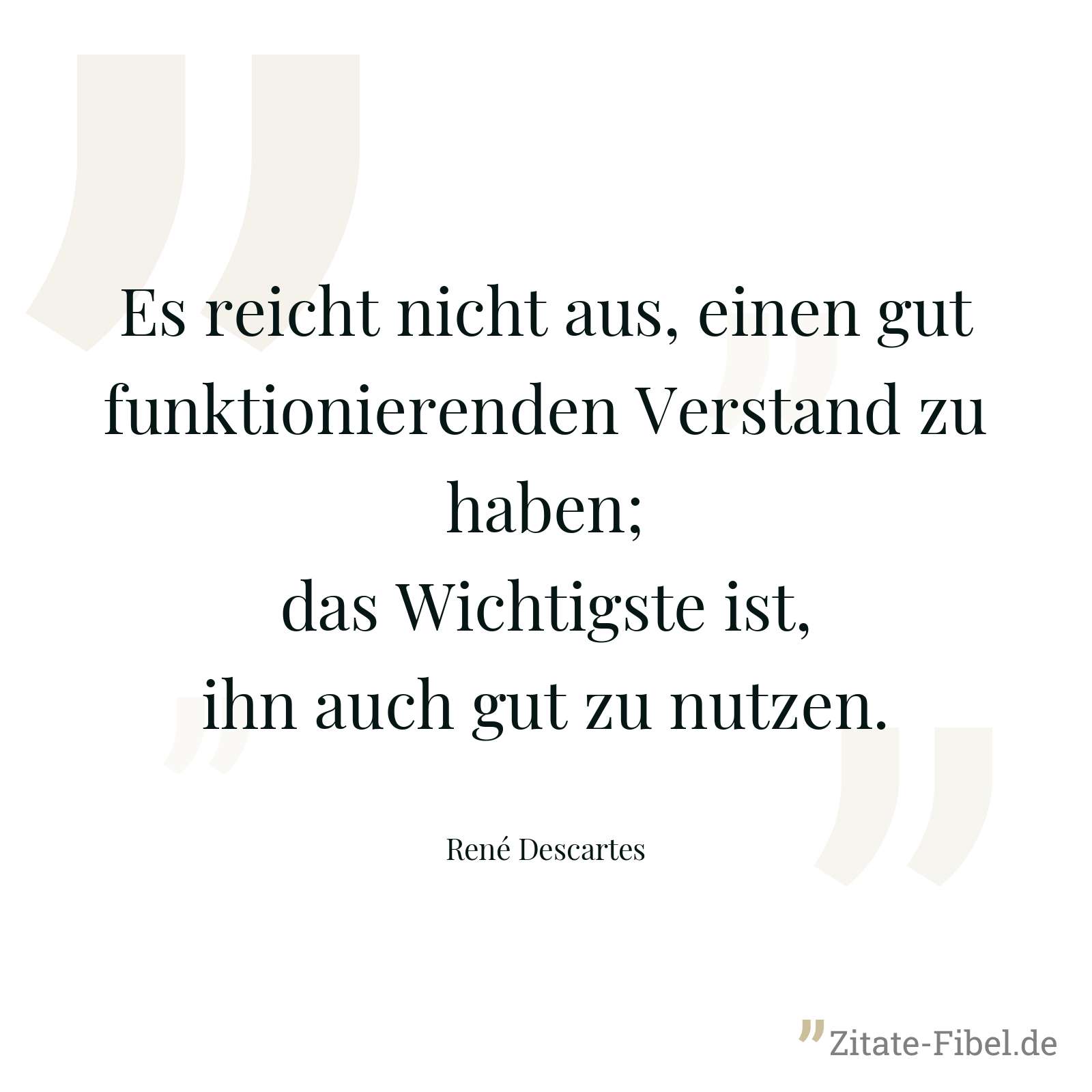 Es reicht nicht aus, einen gut funktionierenden Verstand zu haben; das Wichtigste ist, ihn auch gut zu nutzen. - René Descartes