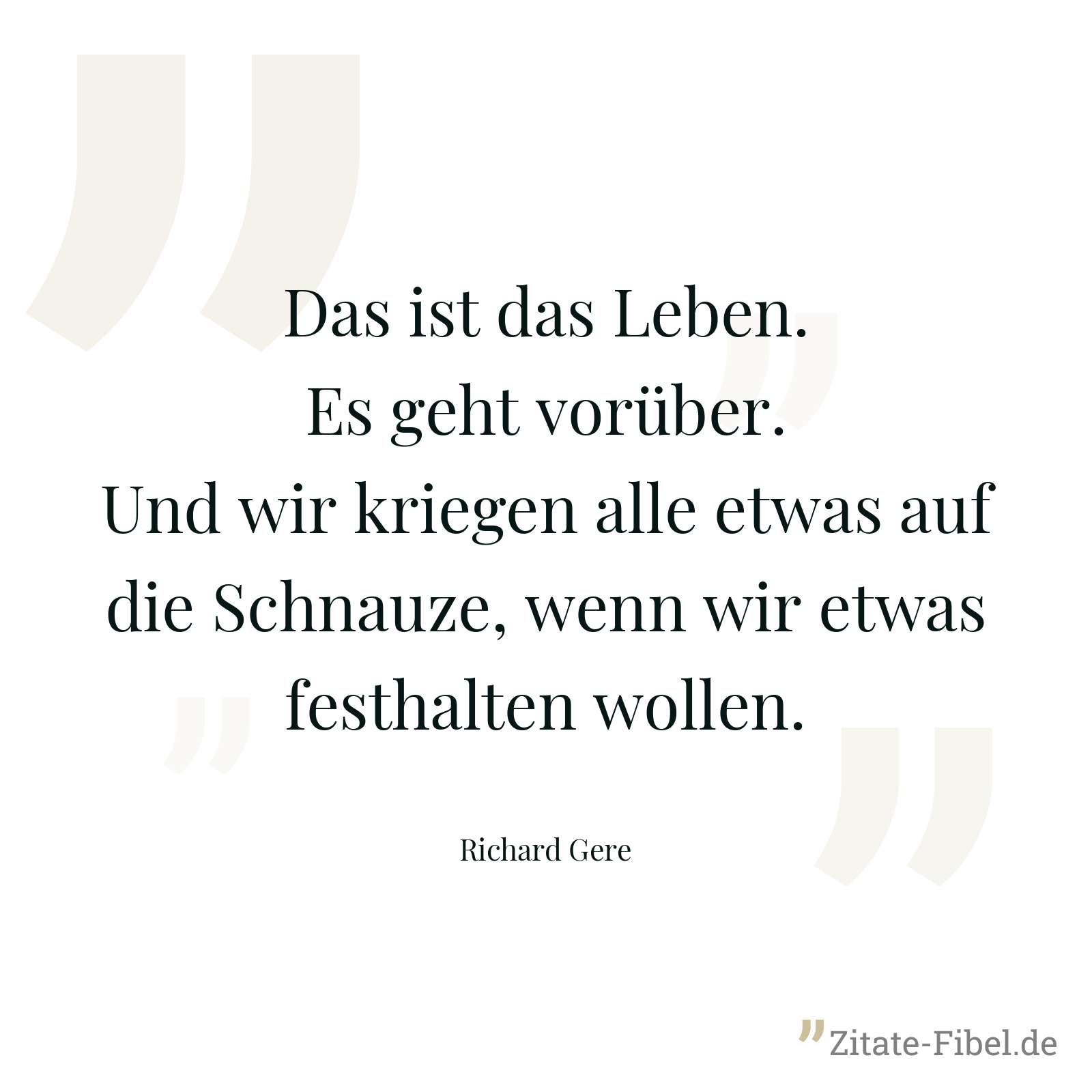 Das ist das Leben. Es geht vorüber. Und wir kriegen alle etwas auf die Schnauze, wenn wir etwas festhalten wollen. - Richard Gere
