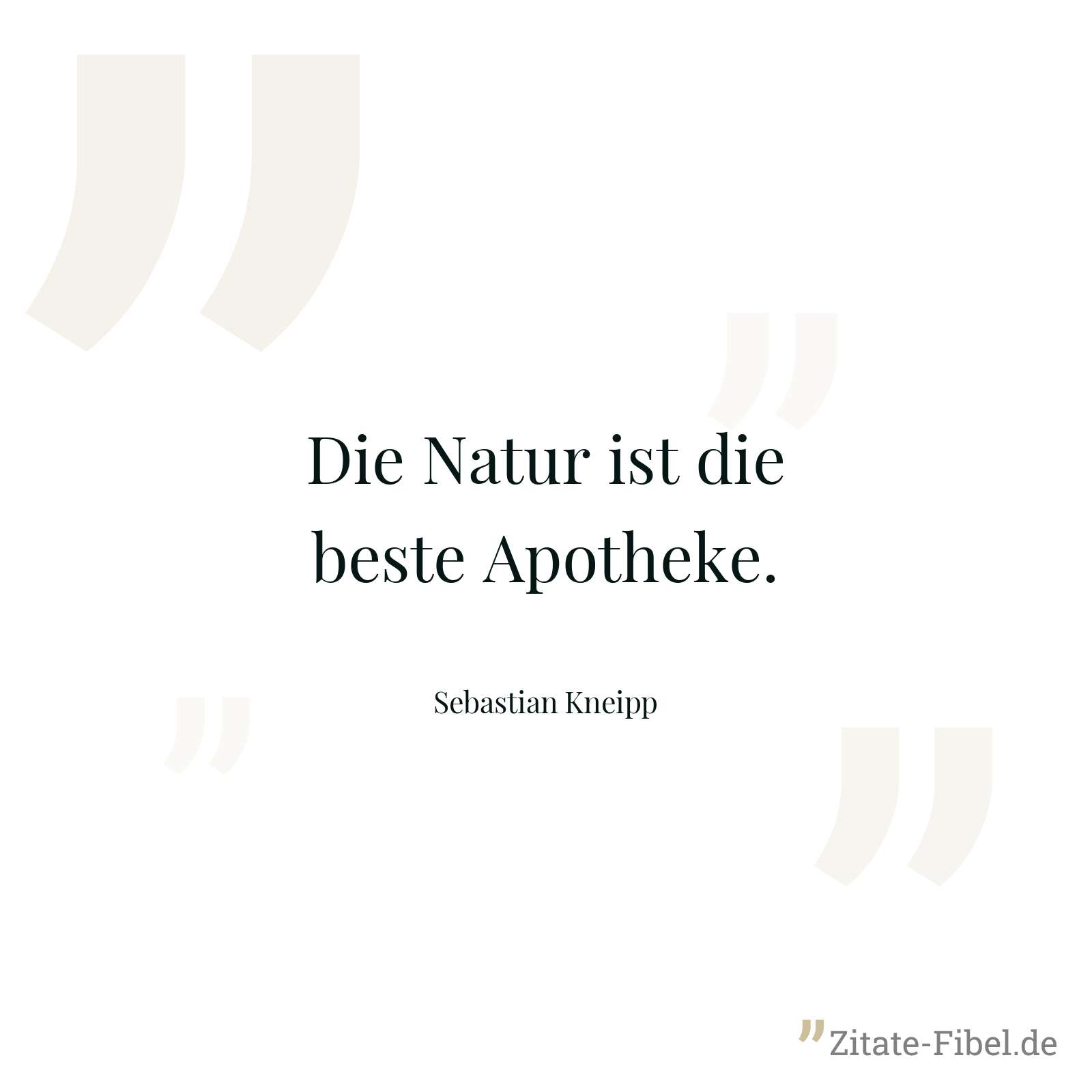 Die Natur ist die beste Apotheke. - Sebastian Kneipp