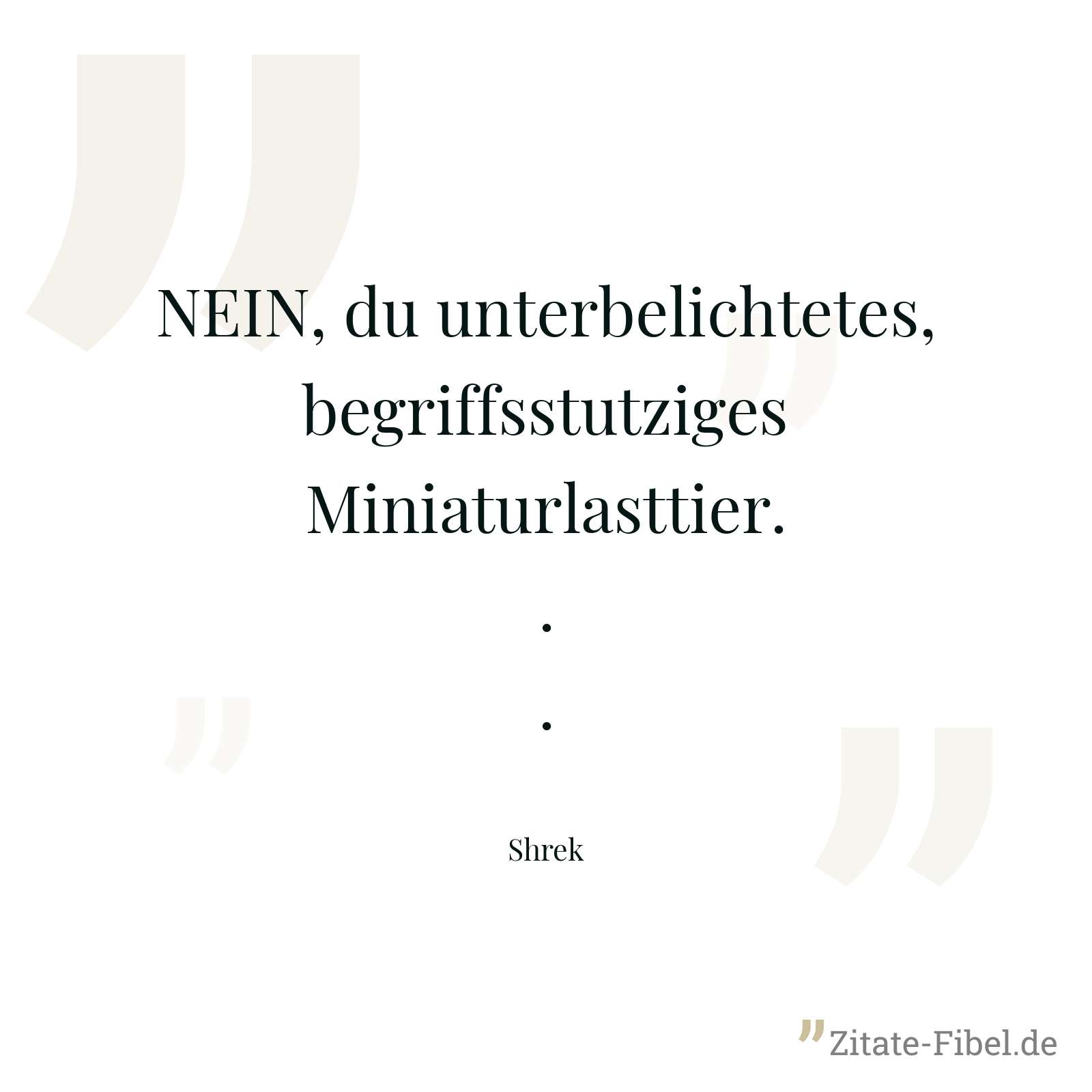NEIN, du unterbelichtetes, begriffsstutziges Miniaturlasttier... - Shrek