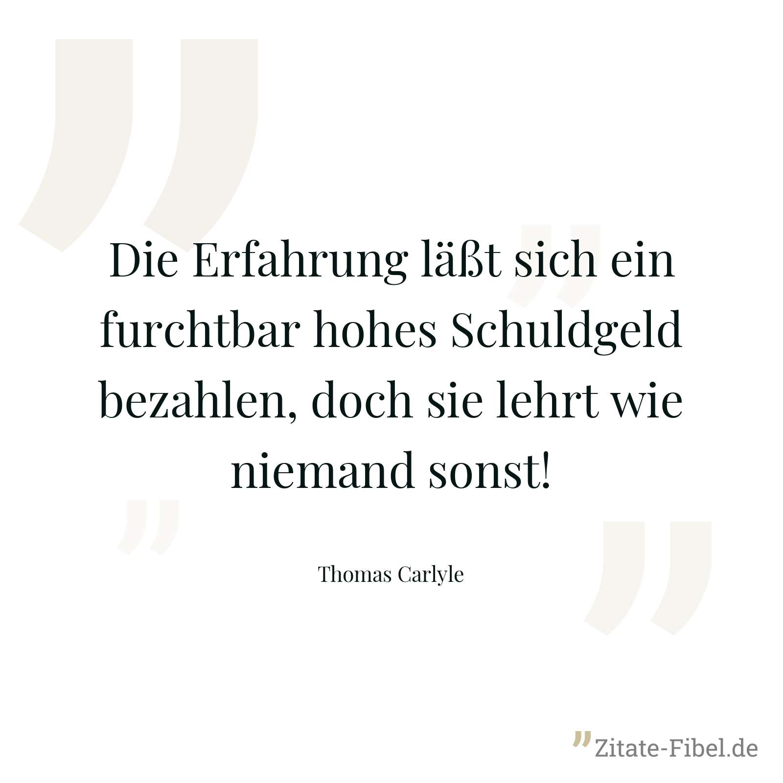 Die Erfahrung läßt sich ein furchtbar hohes Schuldgeld bezahlen, doch sie lehrt wie niemand sonst! - Thomas Carlyle