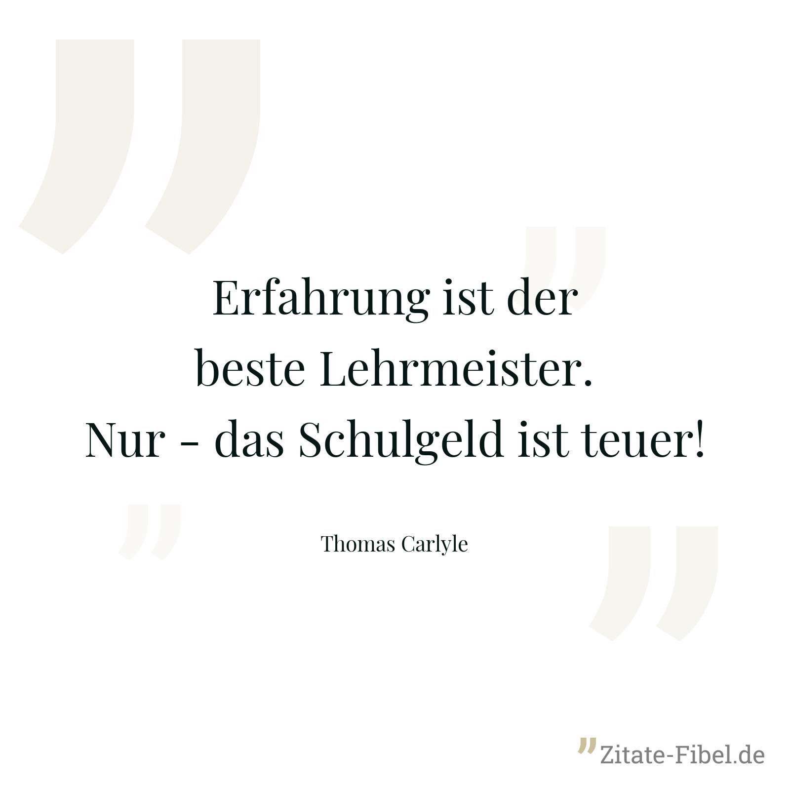 Erfahrung ist der beste Lehrmeister. Nur - das Schulgeld ist teuer! - Thomas Carlyle