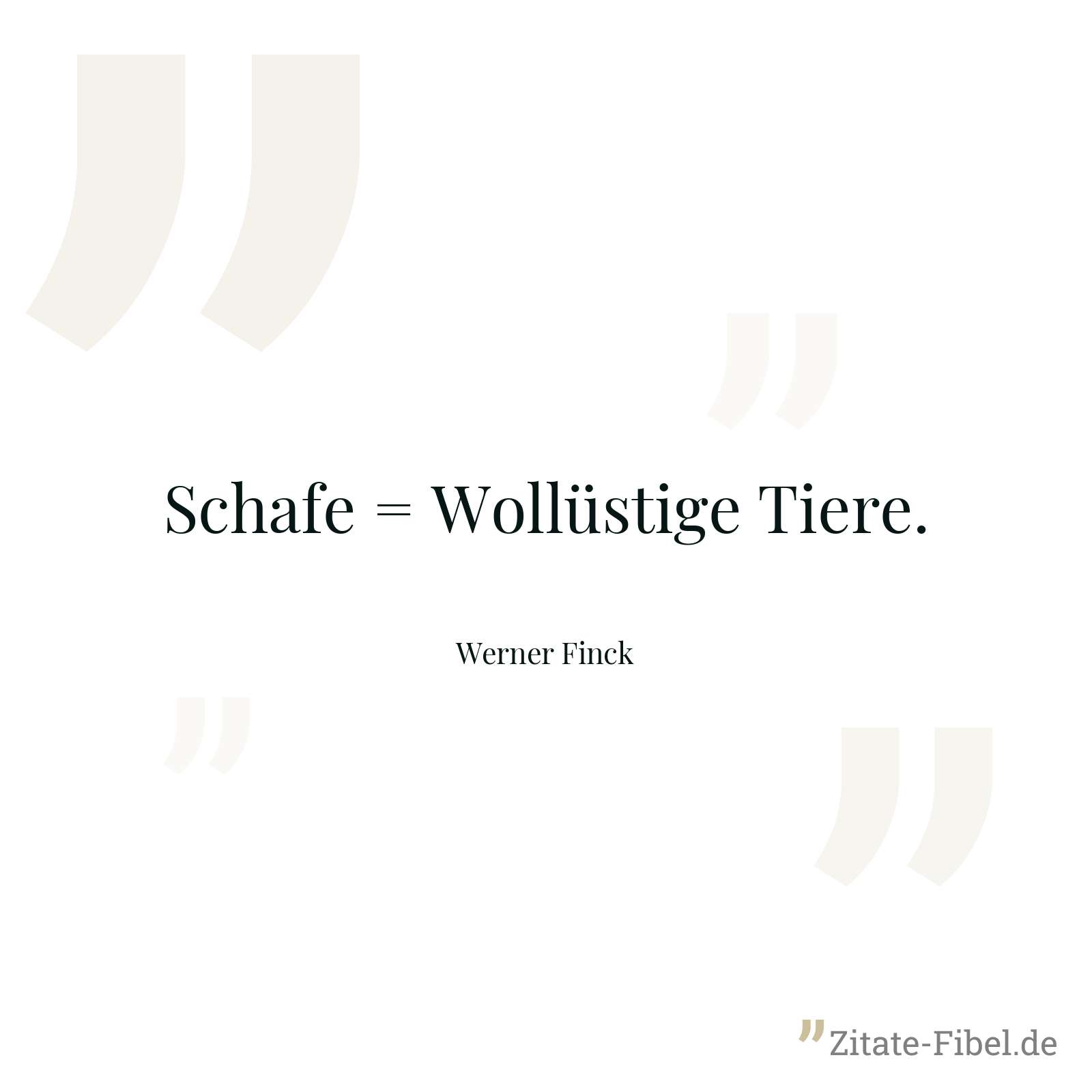 Schafe = Wollüstige Tiere. - Werner Finck