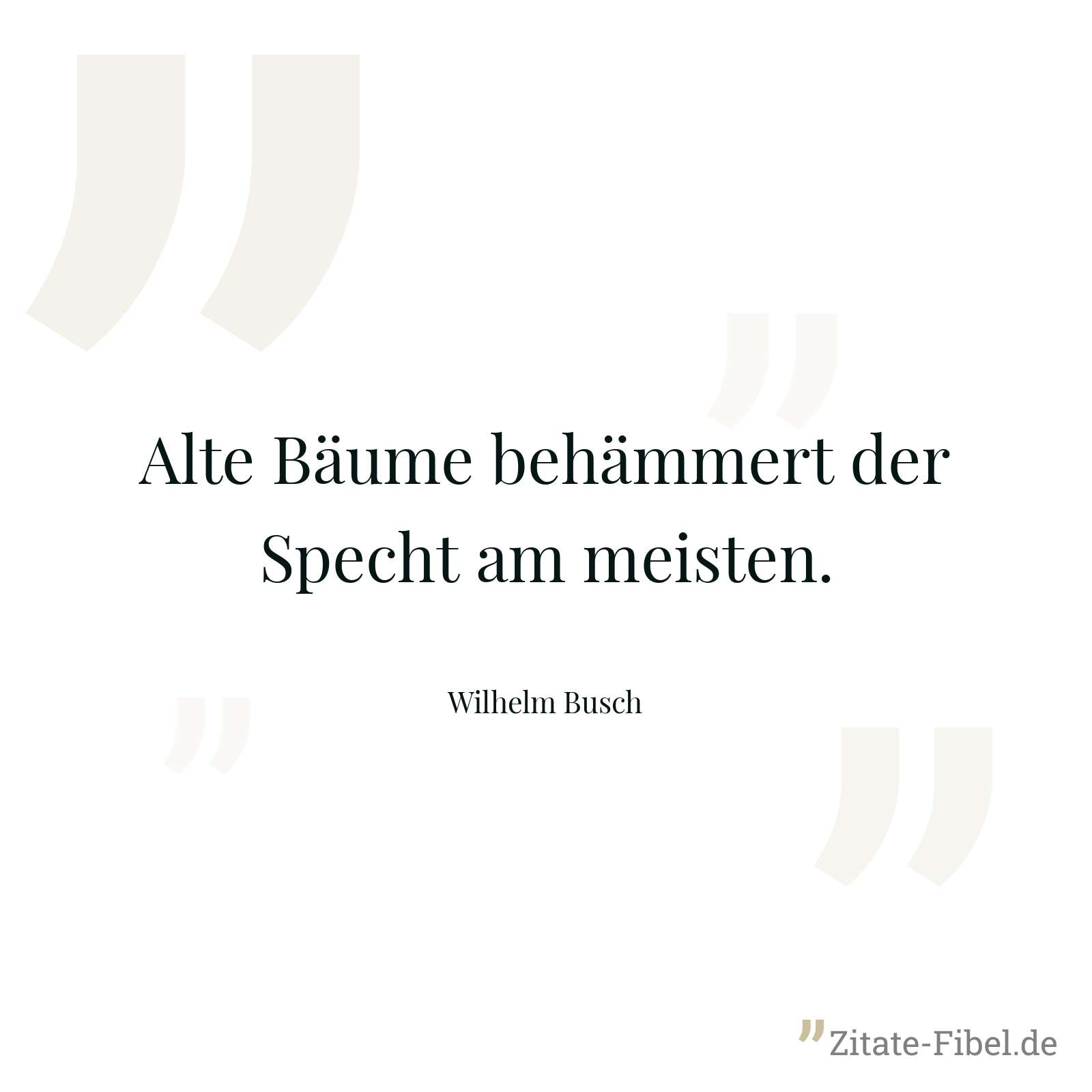 Alte Bäume behämmert der Specht am meisten. - Wilhelm Busch