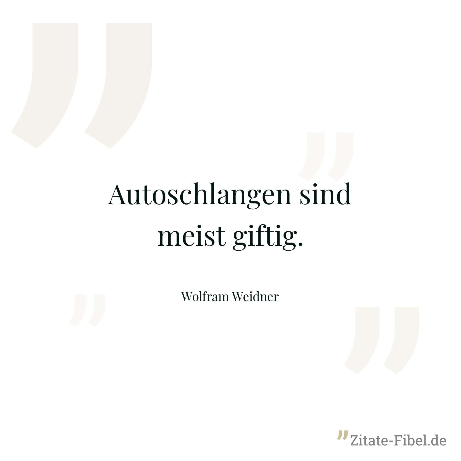 Autoschlangen sind meist giftig. - Wolfram Weidner