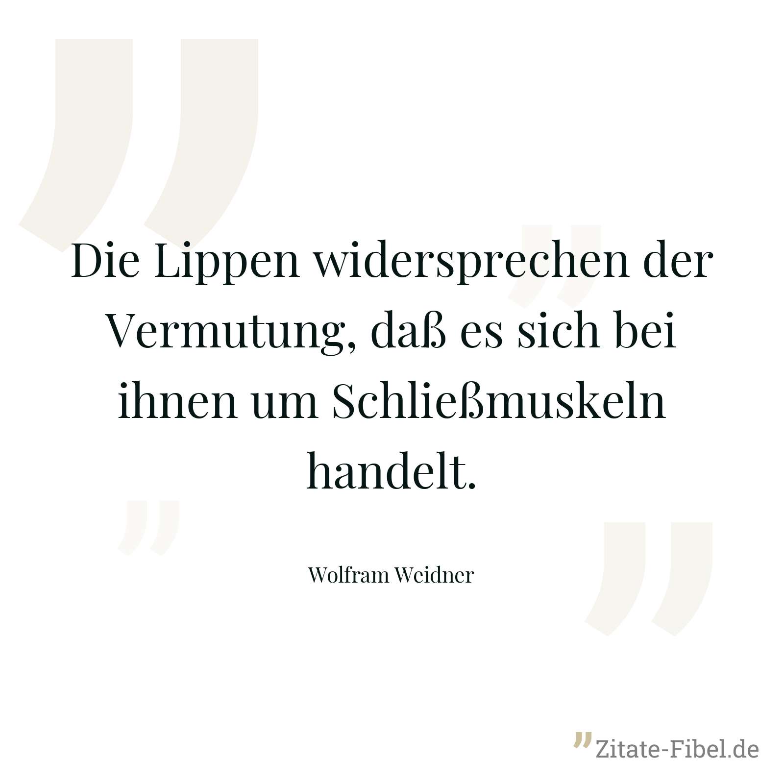 Die Lippen widersprechen der Vermutung, daß es sich bei ihnen um Schließmuskeln handelt. - Wolfram Weidner